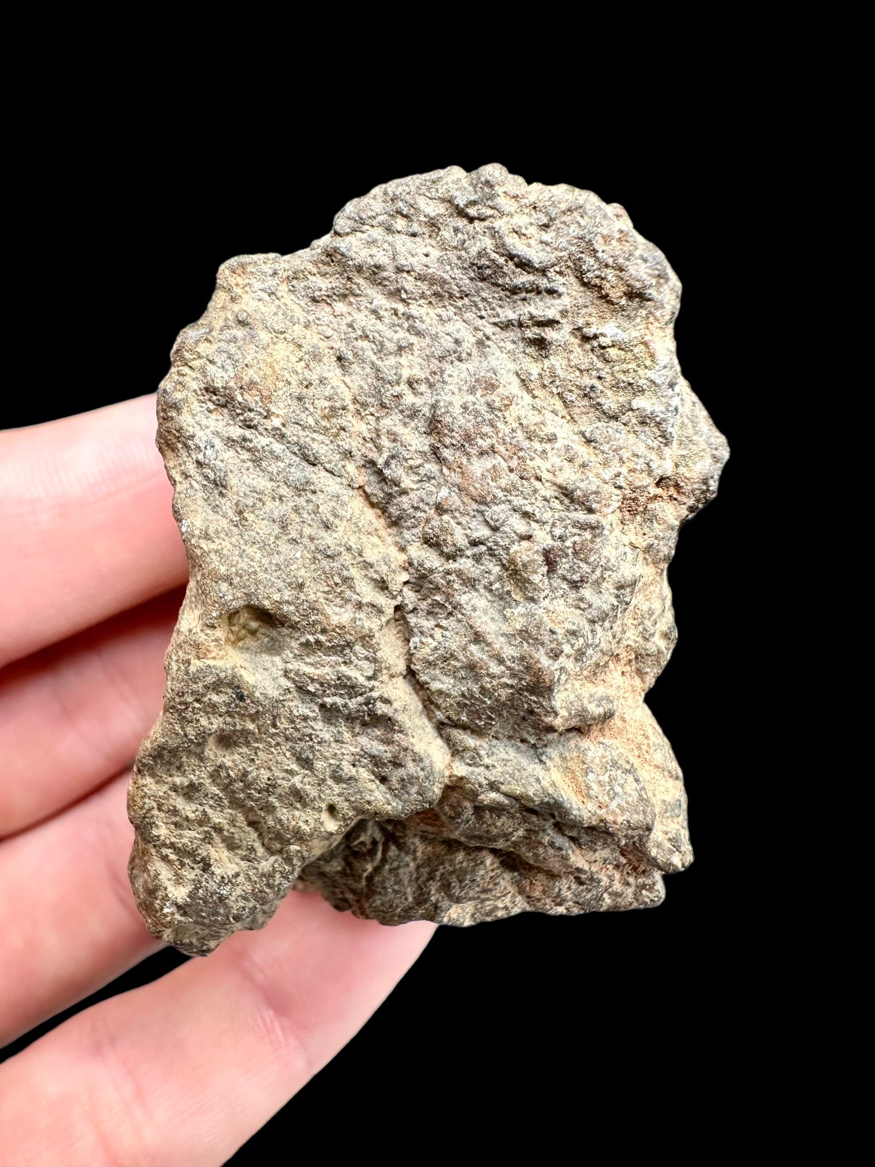 Meteorite Bechar 008, Howardite 92g – Algeria - MEBE23