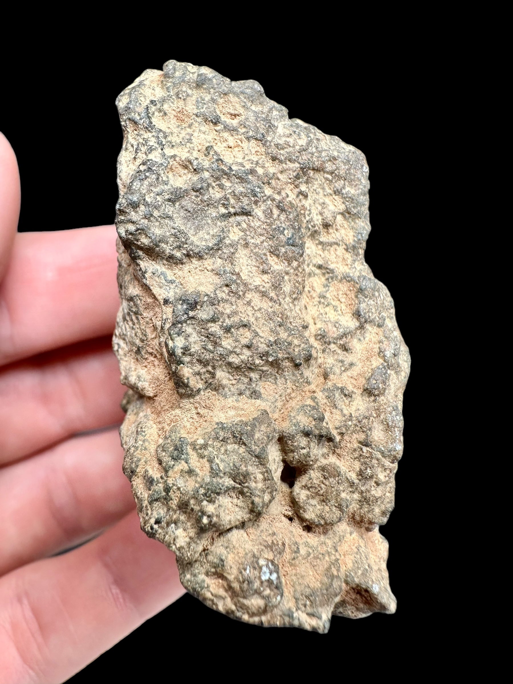 Meteorite Bechar 008, Howardite 92g – Algeria - MEBE23