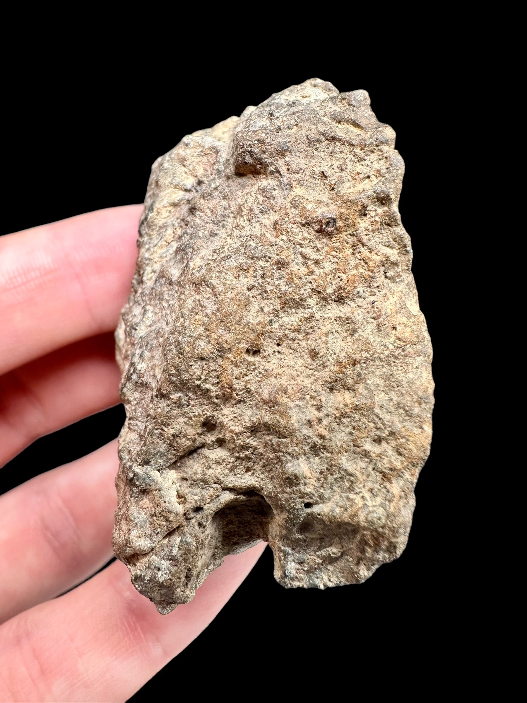 Meteorite Bechar 008, Howardite 92g – Algeria - MEBE23