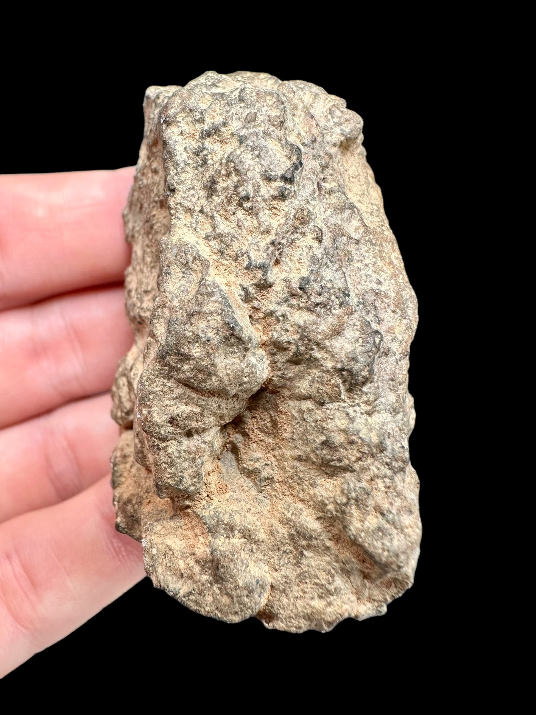 Meteorite Bechar 008, Howardite 92g – Algeria