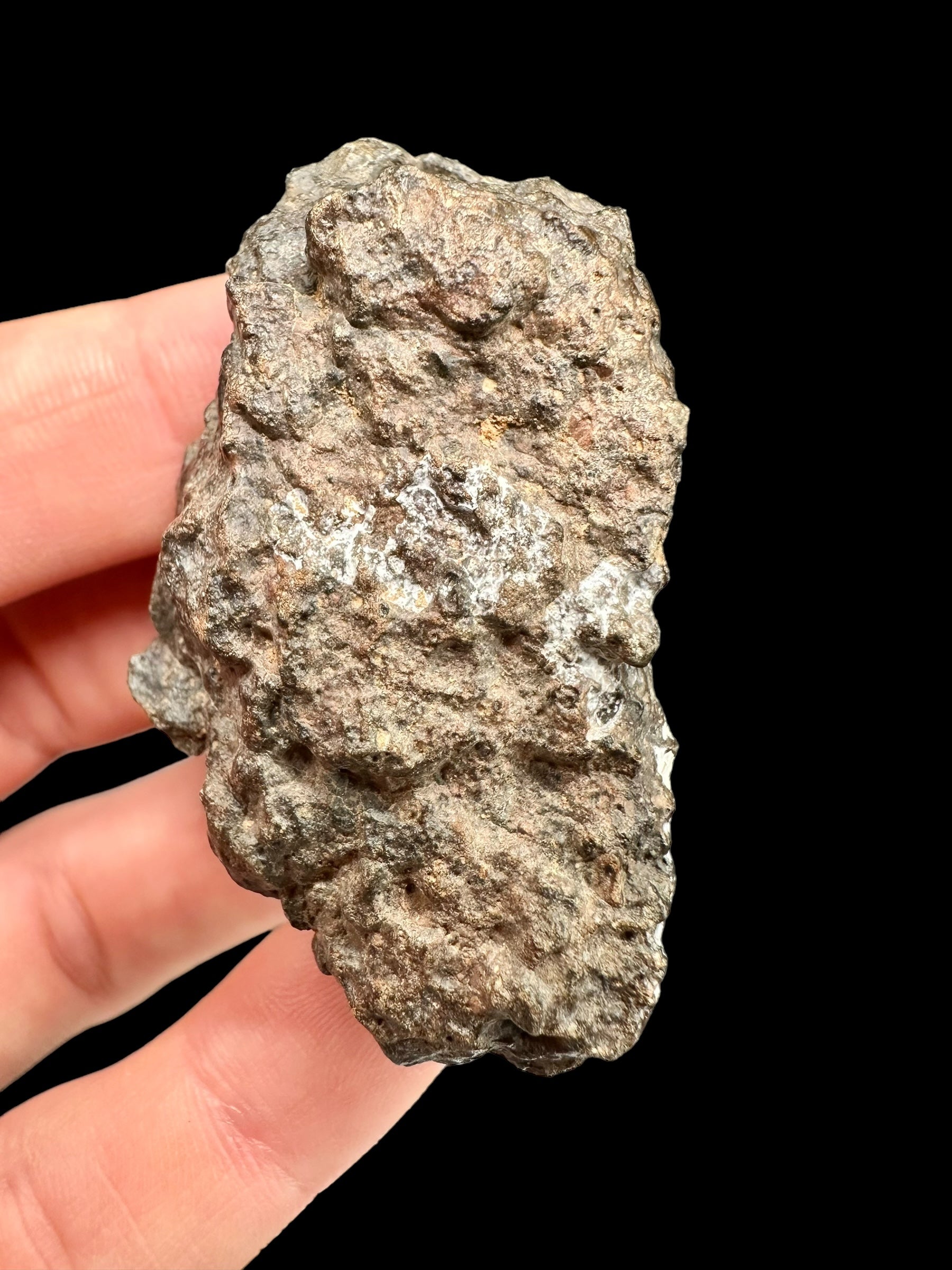 Meteorite Bechar 008, Howardite 34,9g – Algeria - MEBE24
