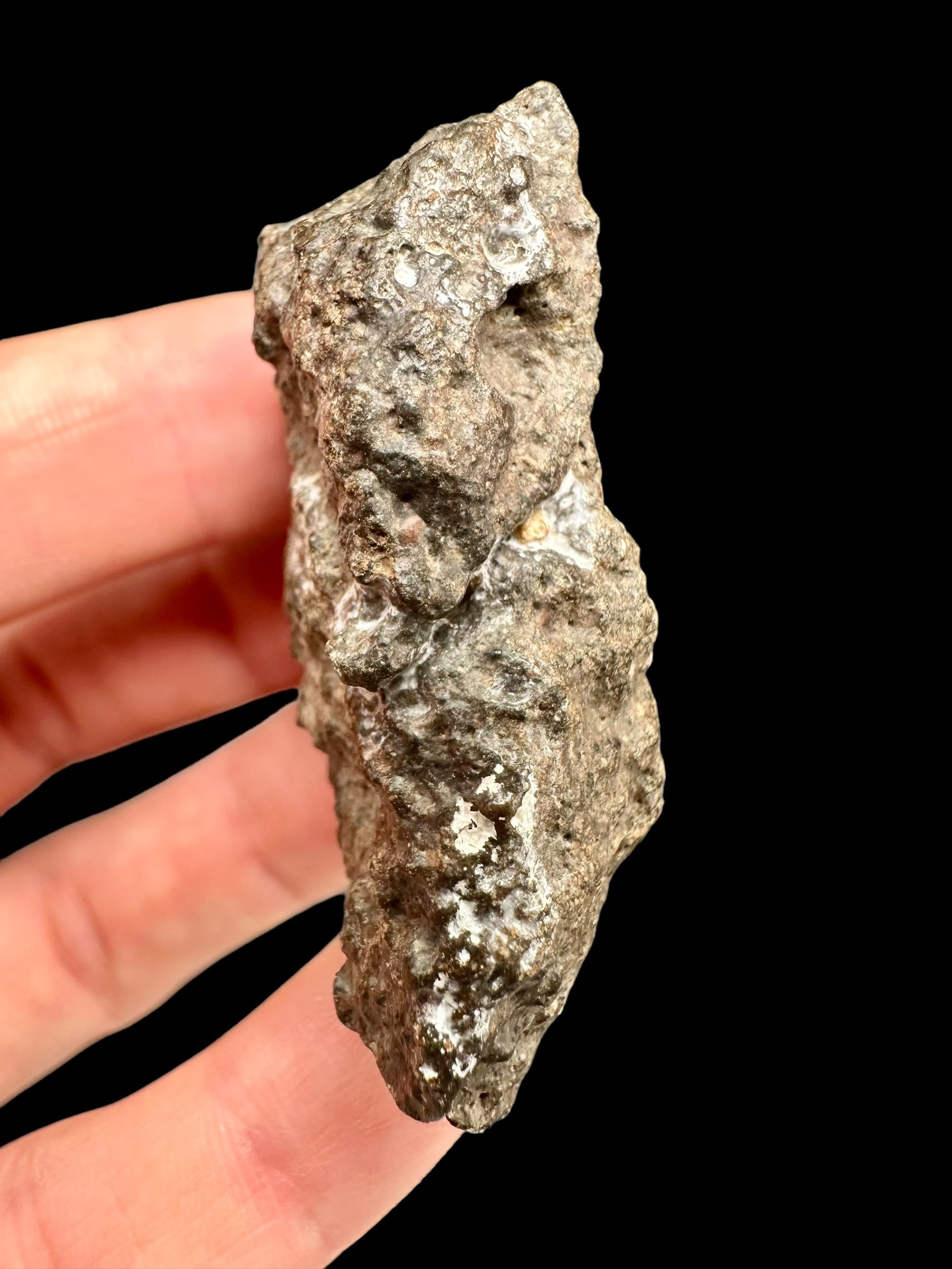 Meteorite Bechar 008, Howardite 34,9g – Algeria - MEBE24