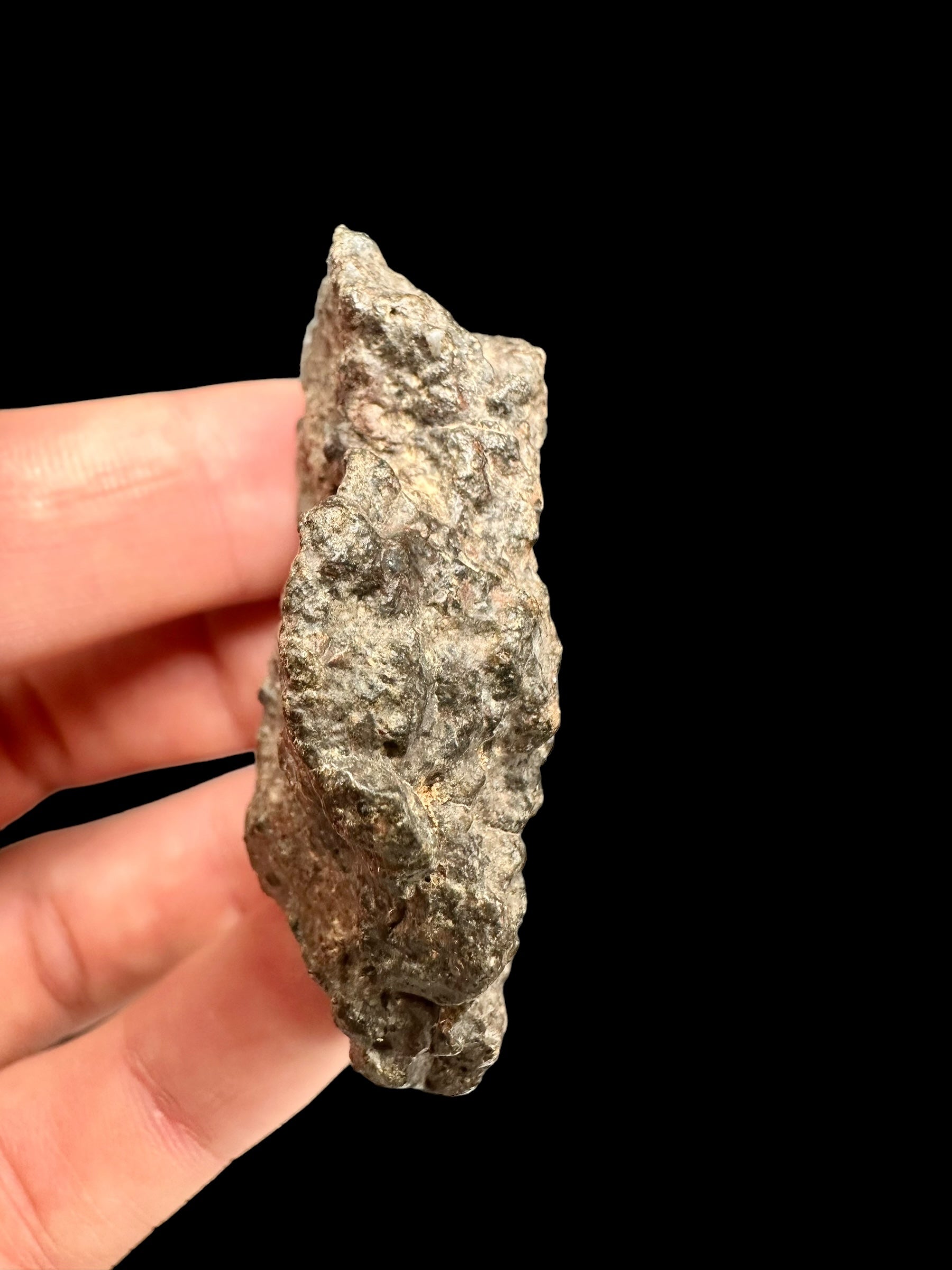 Meteorite Bechar 008, Howardite 34,9g – Algeria - MEBE24