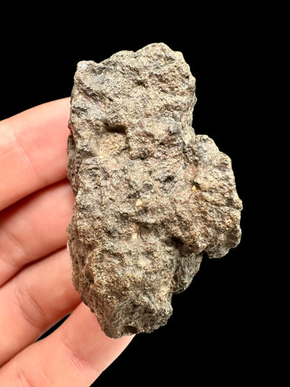 Meteorite Bechar 008, Howardite – Algeria – MEBE24