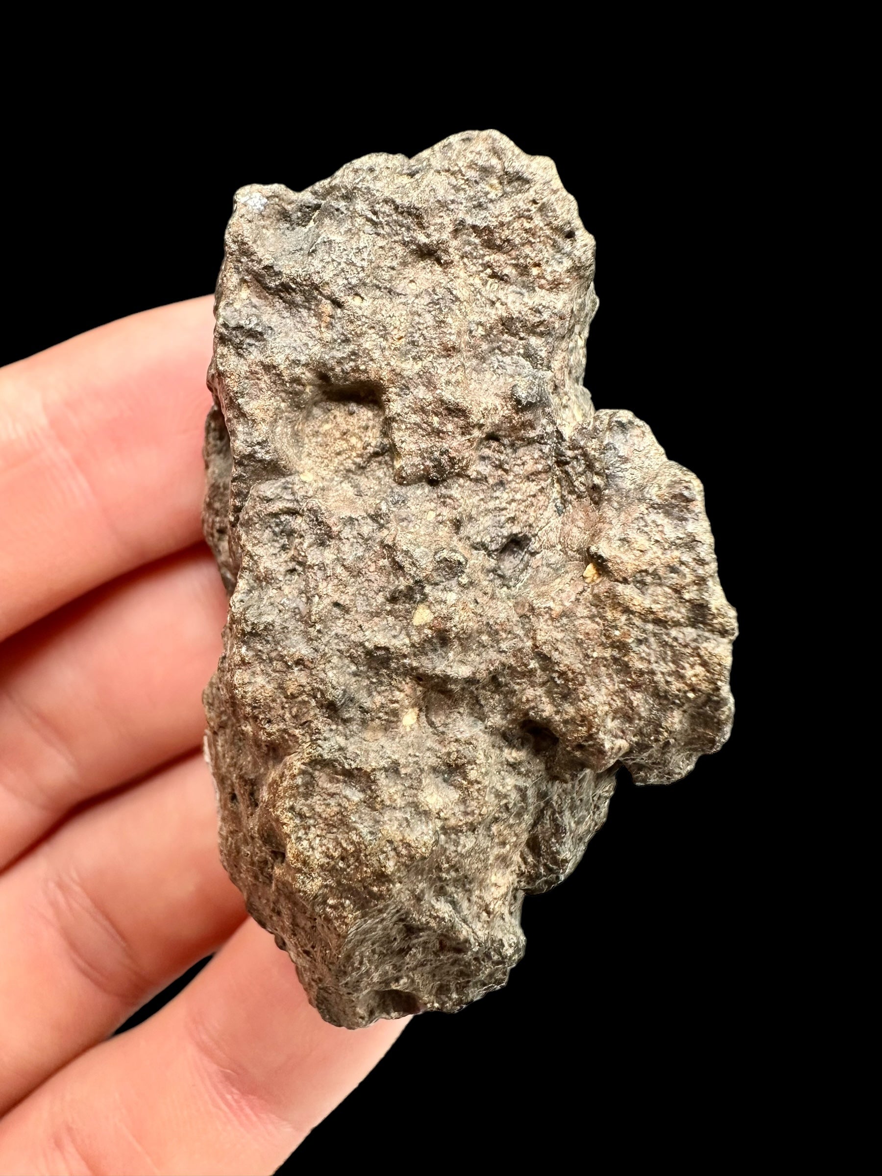 Meteorite Bechar 008, Howardite 34,9g – Algeria
