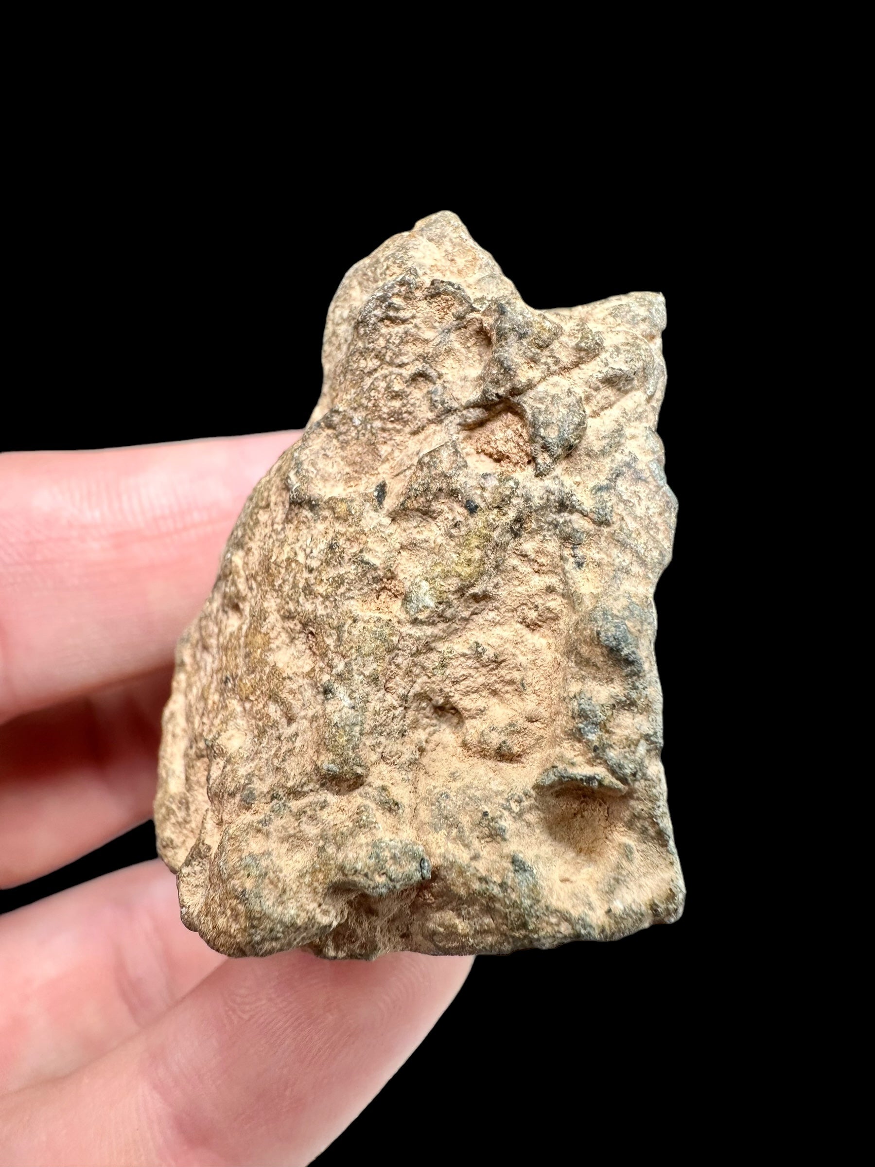 Meteorite Bechar 008, Howardite 66,2g – Algeria