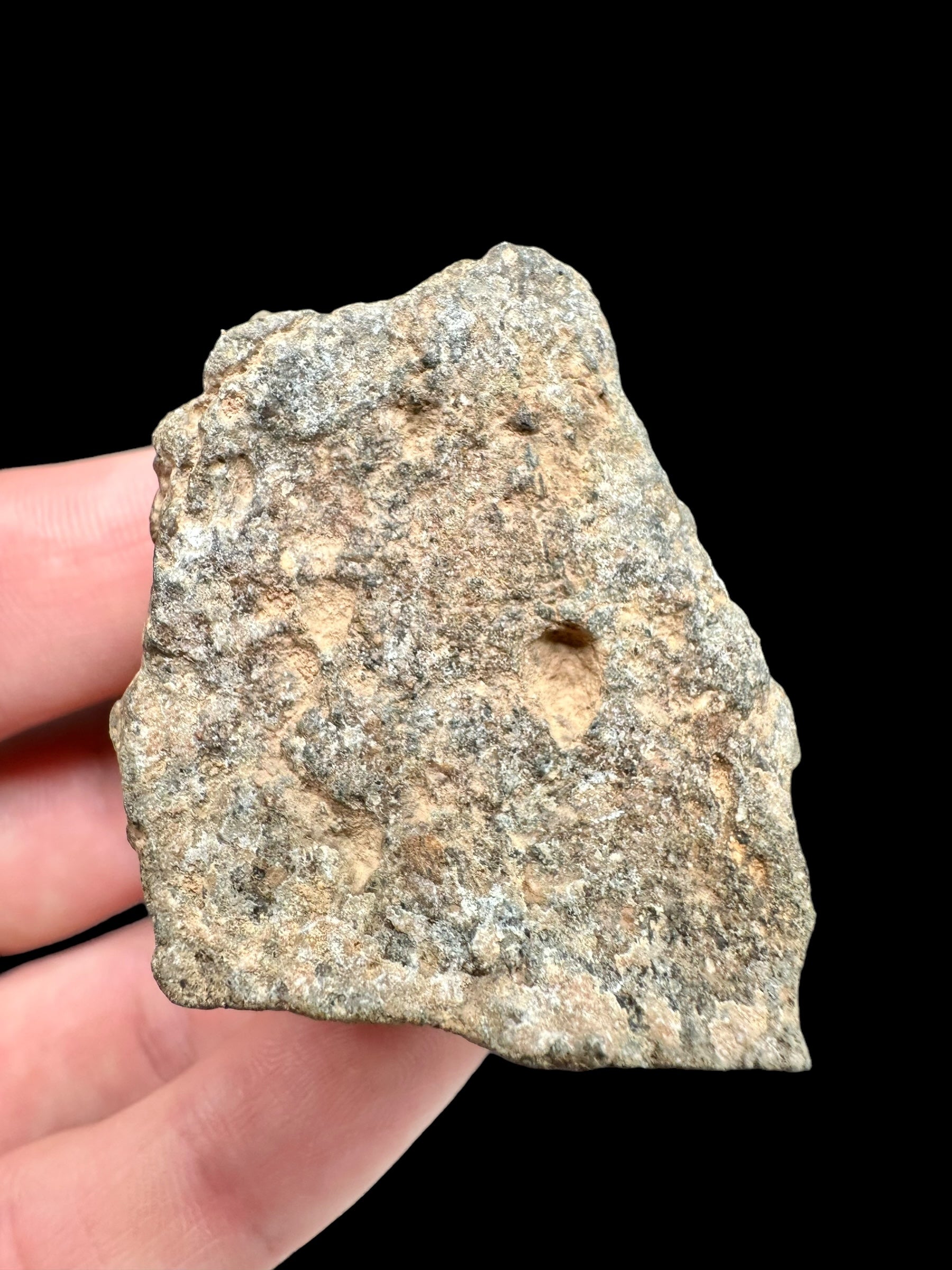 Meteorite Bechar 008, Howardite 66,2g – Algeria - MEBE25