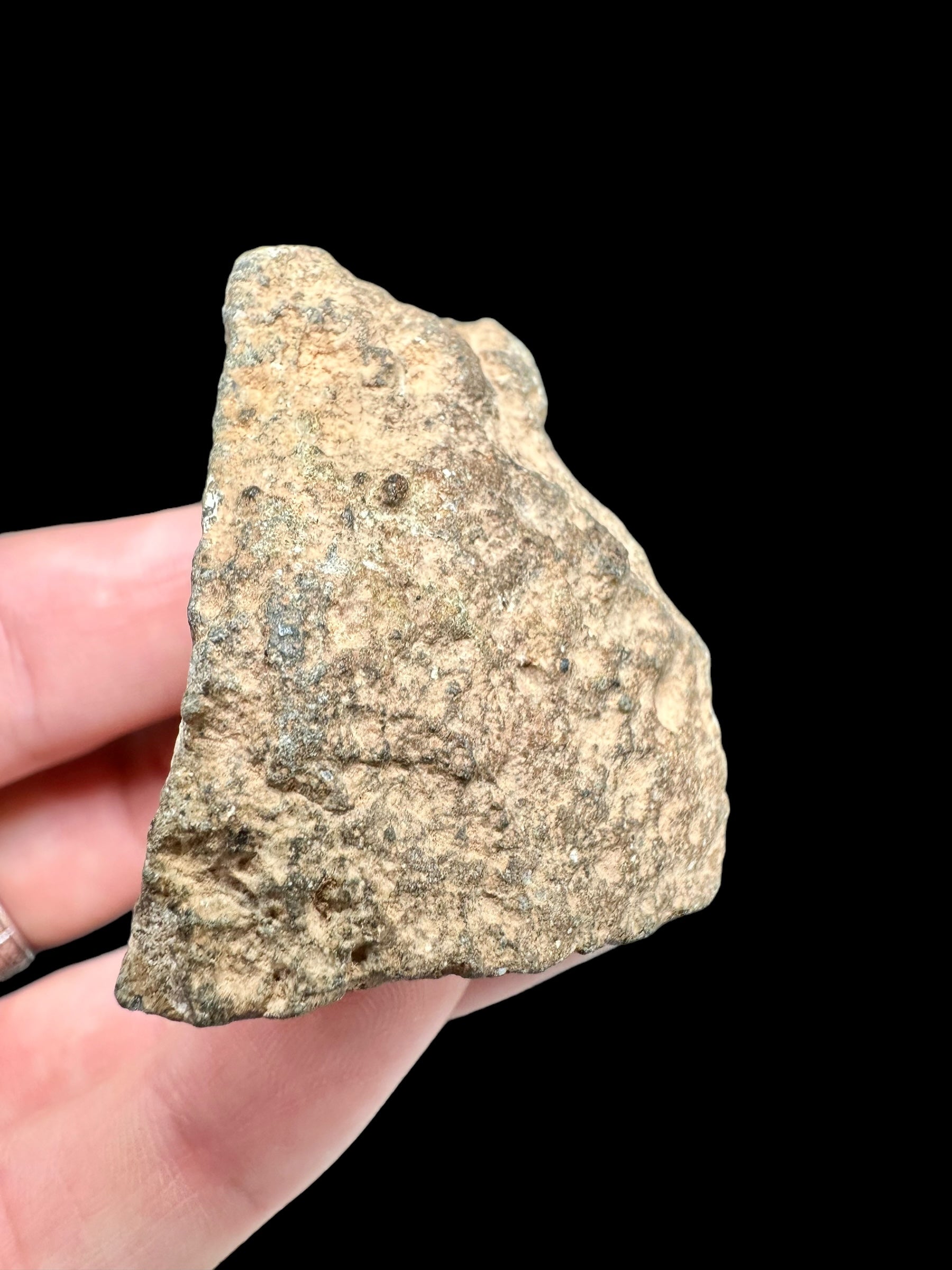 Meteorite Bechar 008, Howardite 66,2g – Algeria - MEBE25