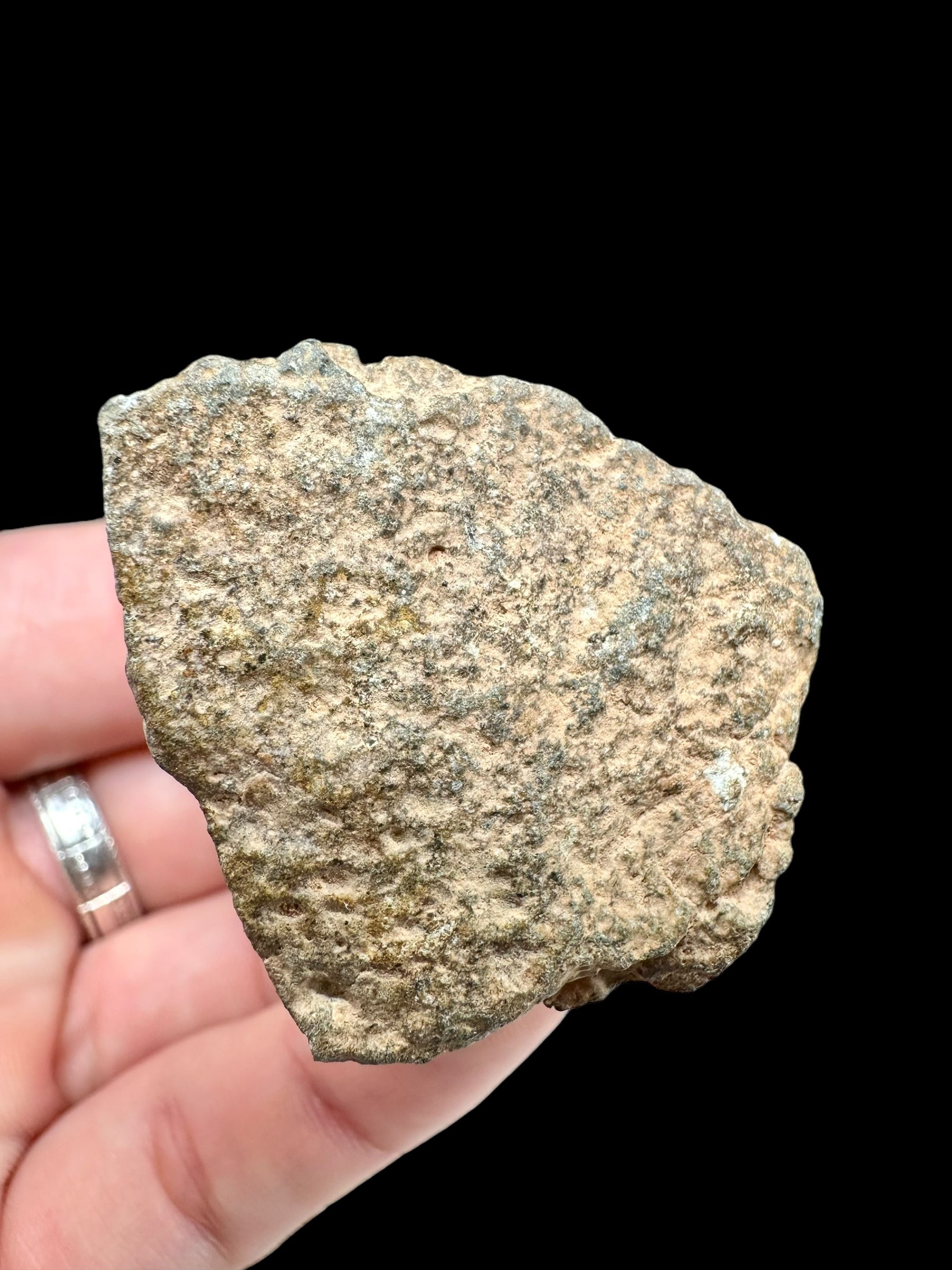 Meteorite Bechar 008, Howardite 66,2g – Algeria - MEBE25
