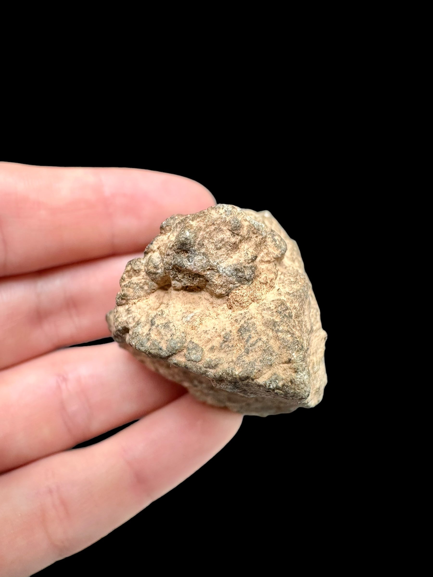Meteorite Bechar 008, Howardite 66,2g – Algeria - MEBE25