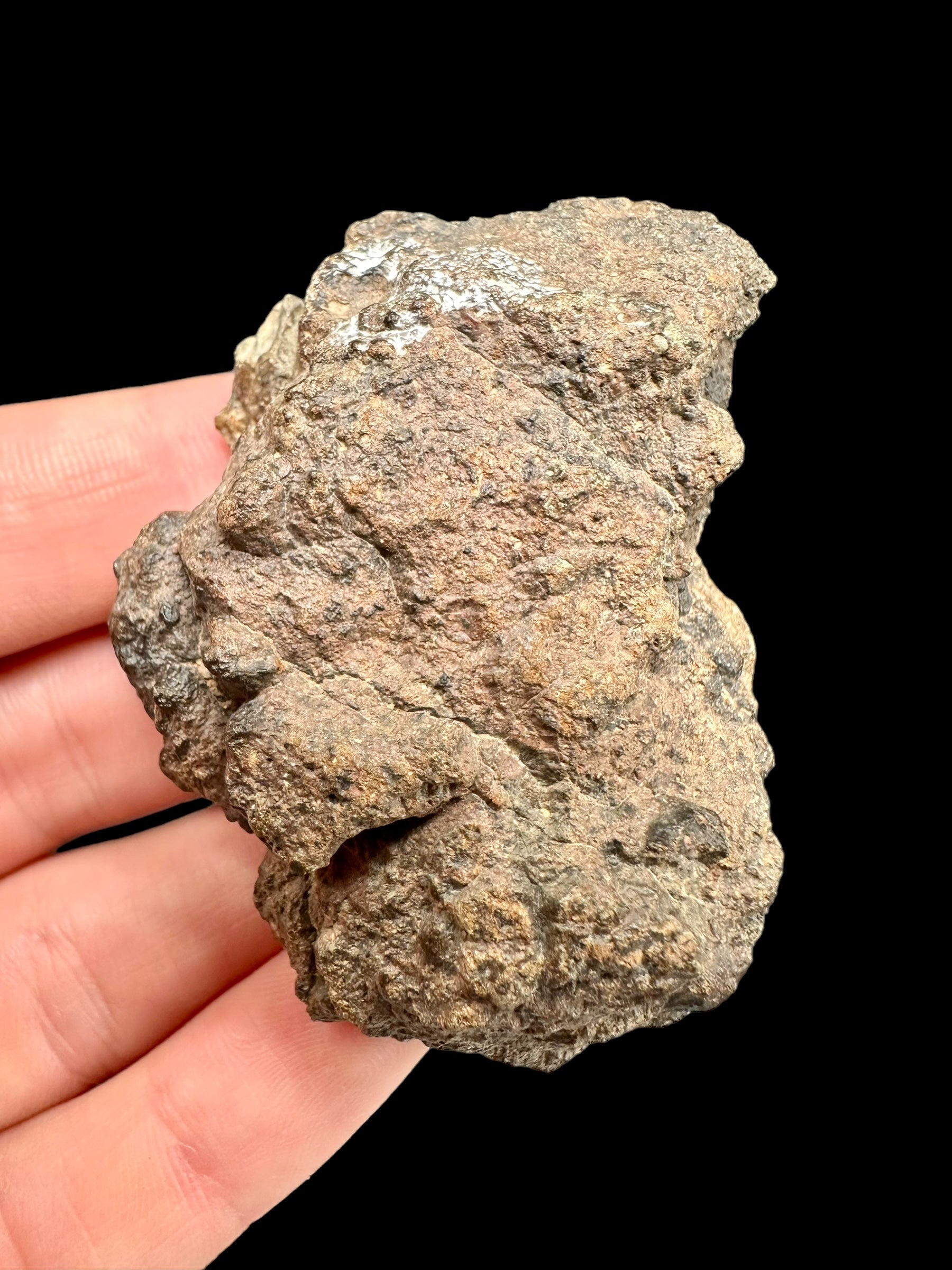 Meteorite Bechar 008, Howardite 70,8g – Algeria - MEBE26