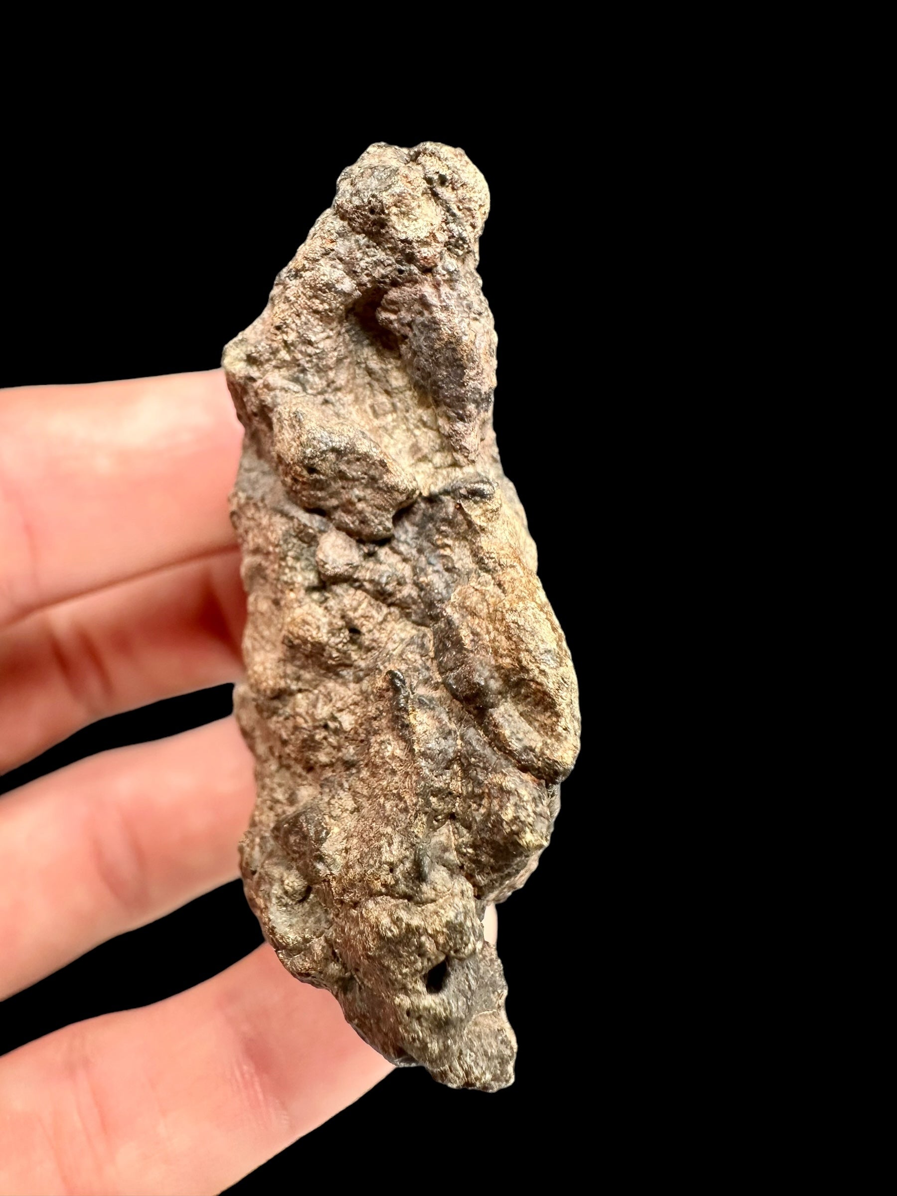 Meteorite Bechar 008, Howardite 70,8g – Algeria - MEBE26