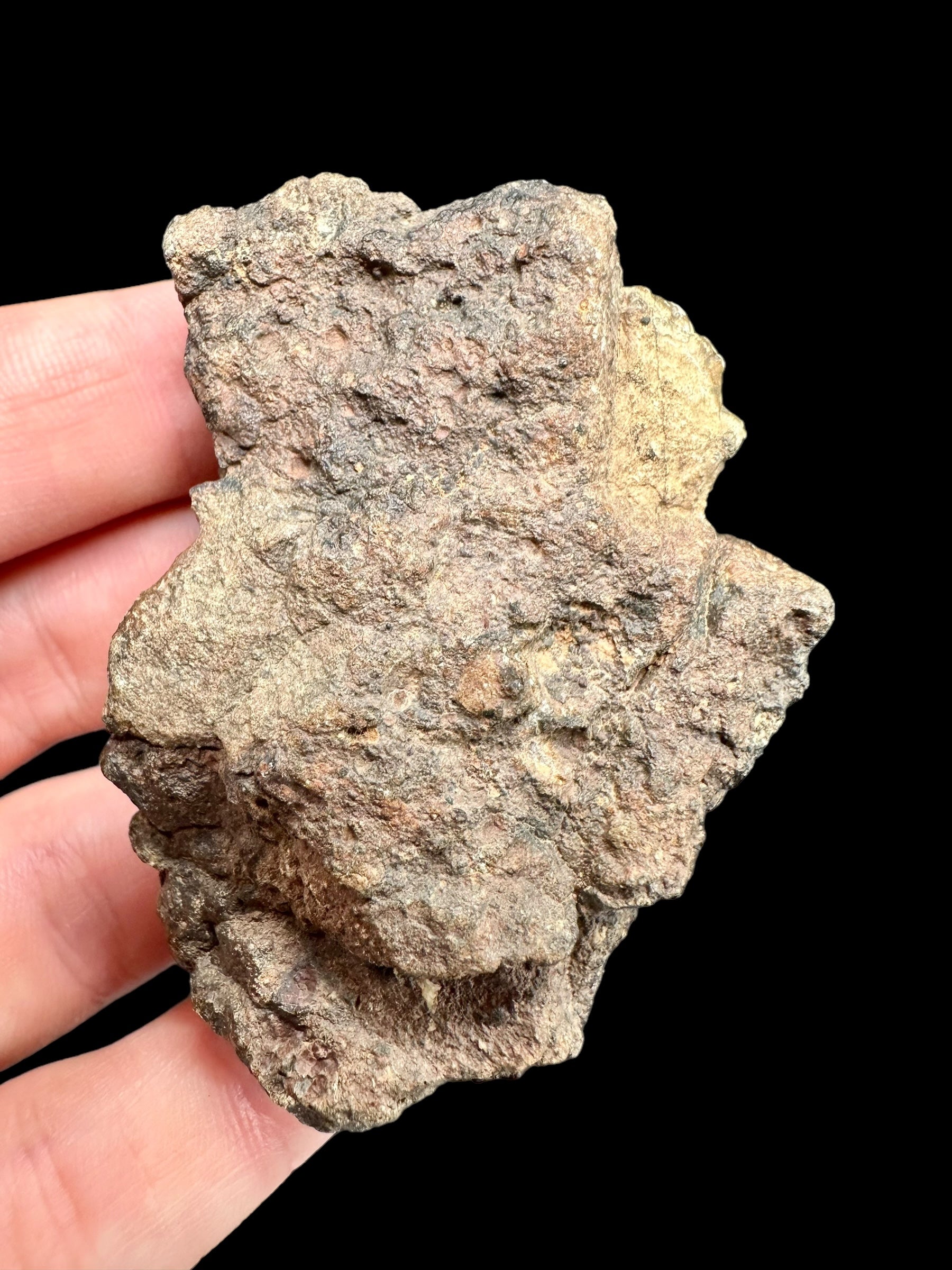 Meteorite Bechar 008, Howardite 70,8g – Algeria