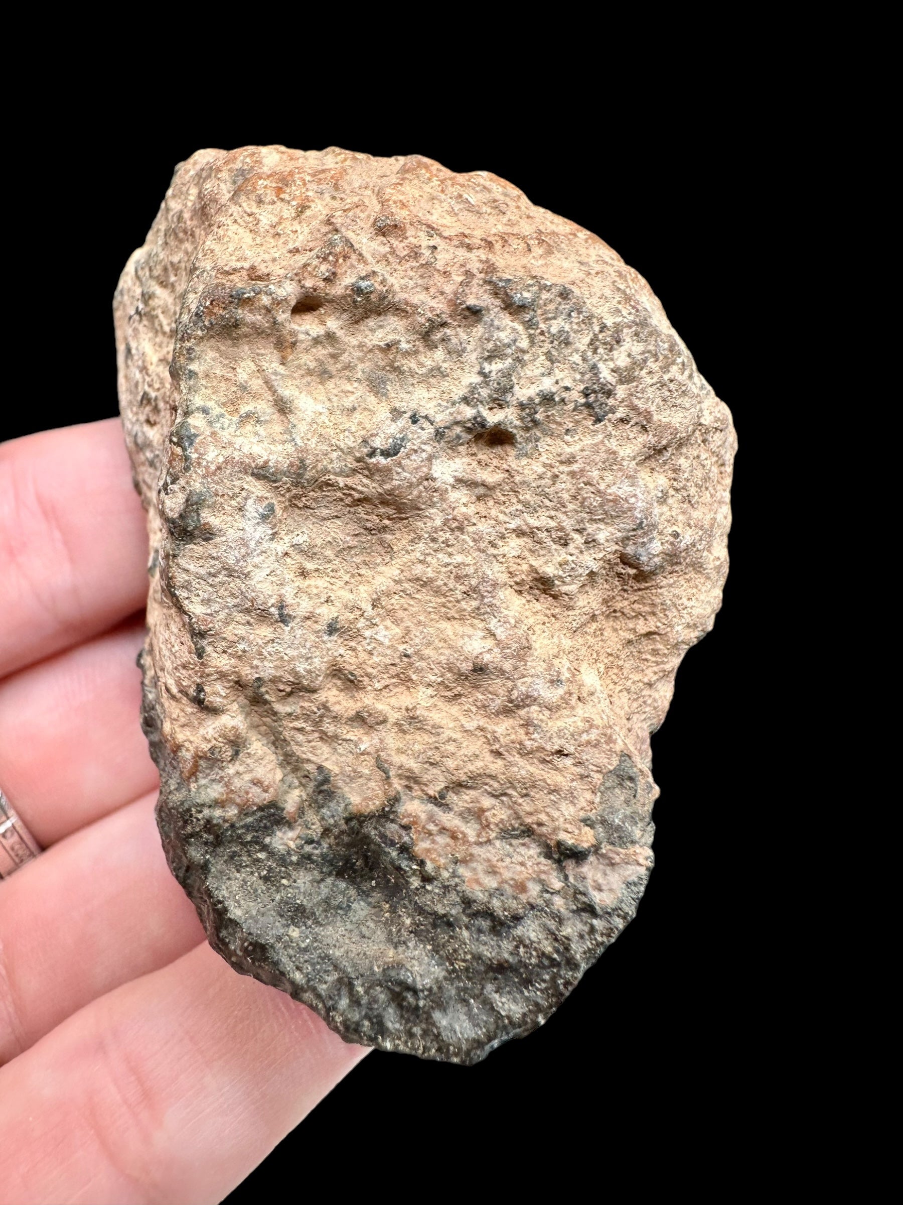 Meteorite Bechar 008, Howardite 130,1g – Algeria - MEBE27