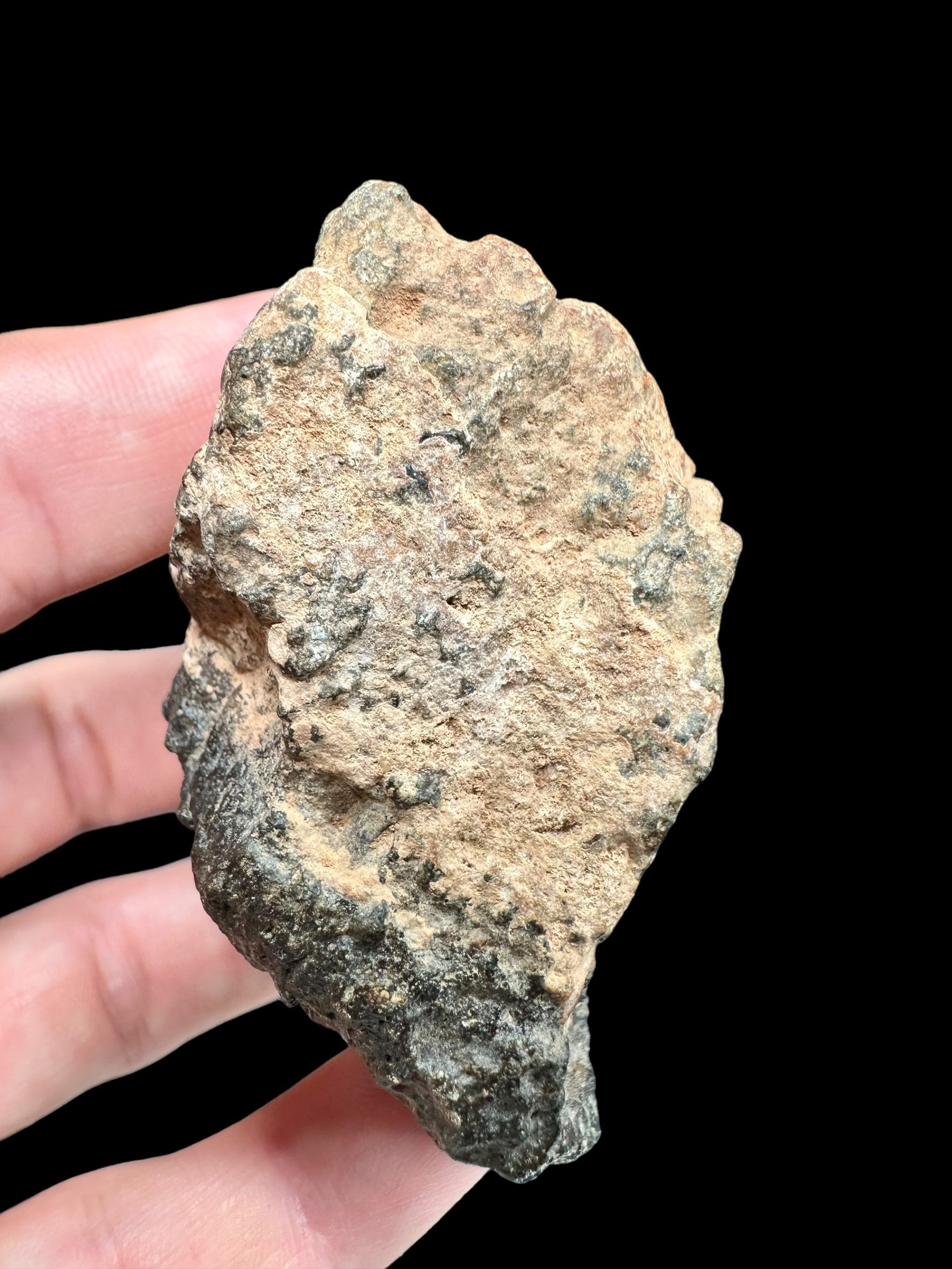 Meteorite Bechar 008, Howardite 130,1g – Algeria - MEBE27