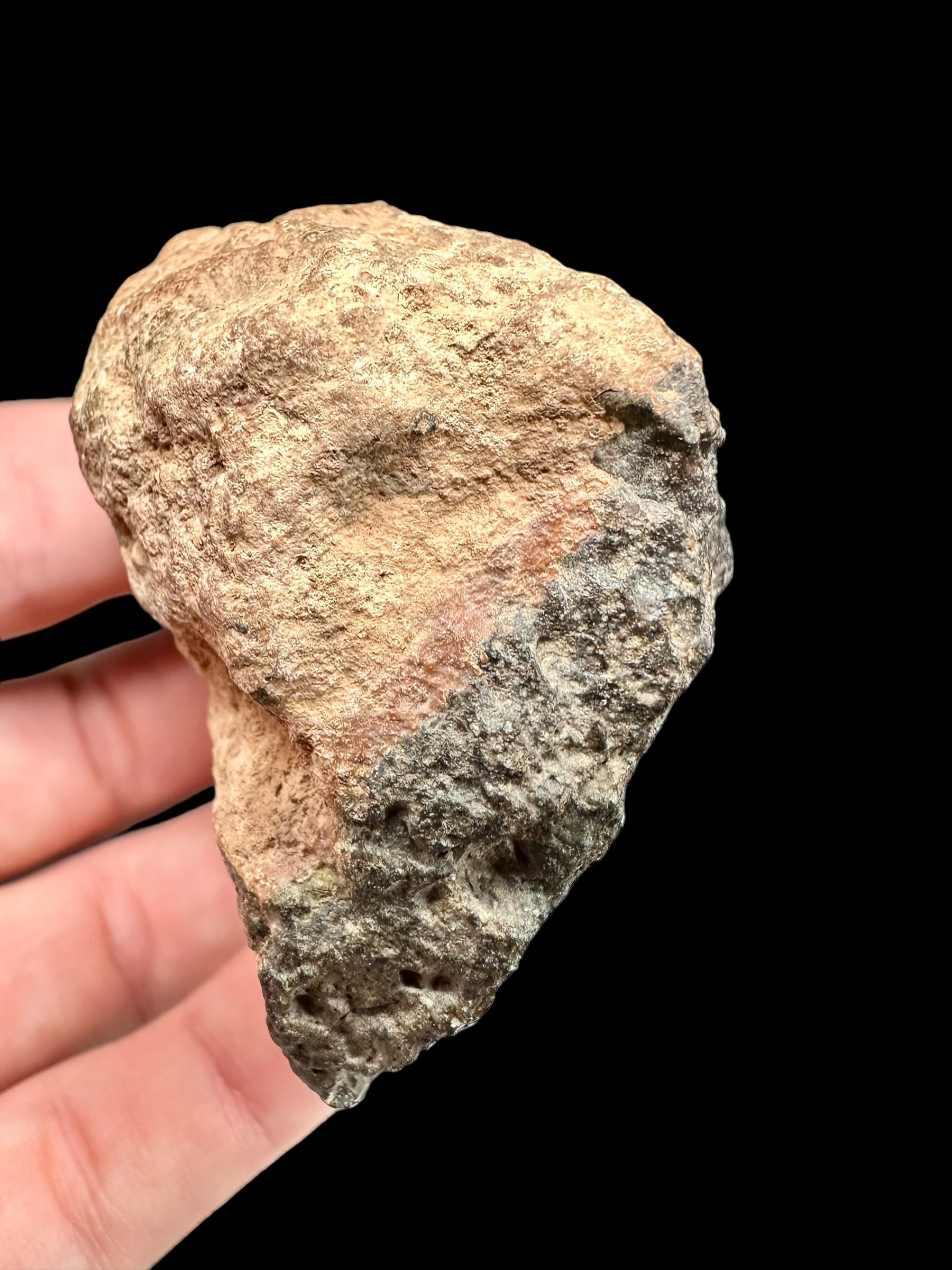 Meteorite Bechar 008, Howardite 130,1g – Algeria - MEBE27