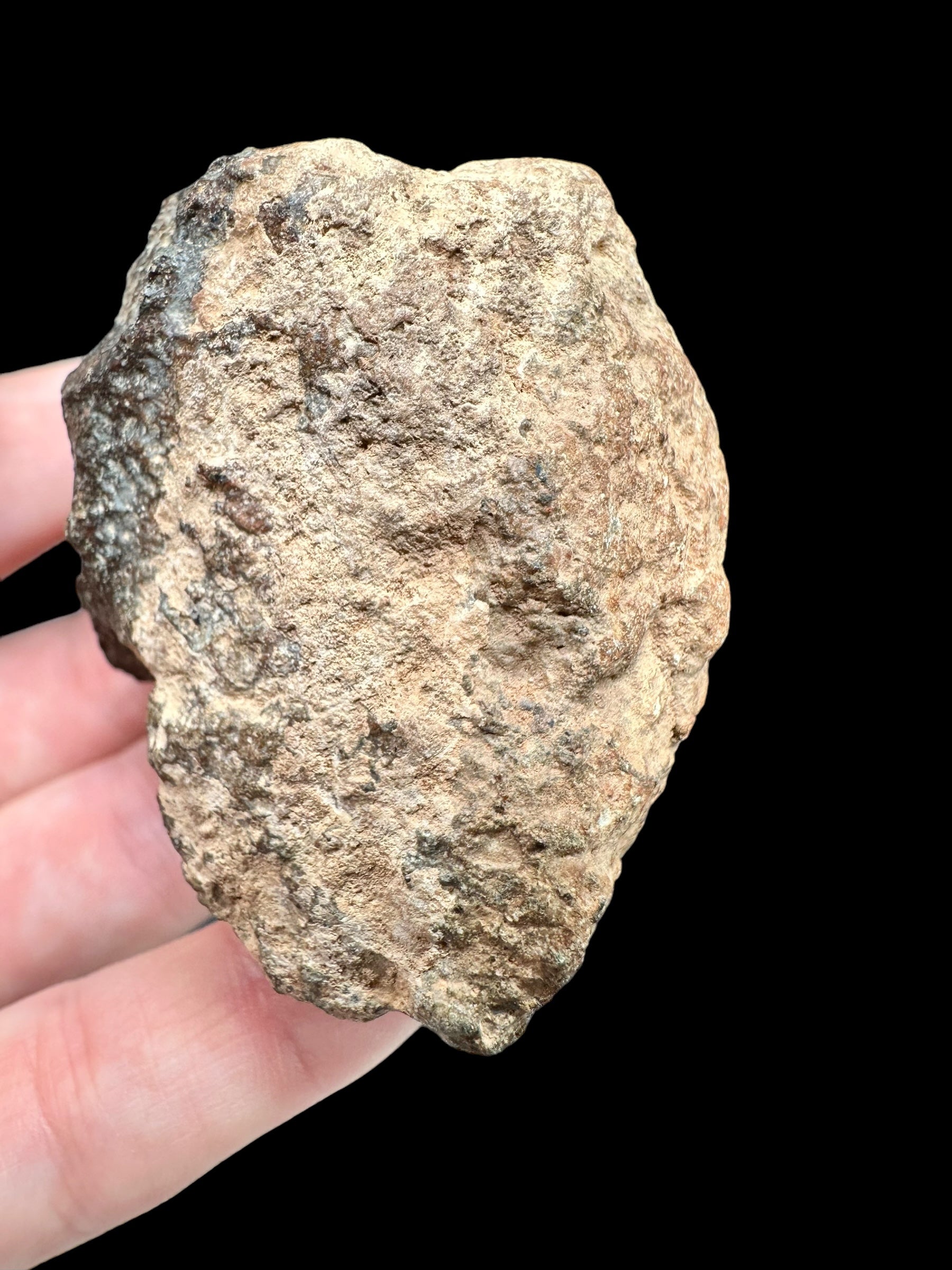 Meteorite Bechar 008, Howardite 130,1g – Algeria - MEBE27