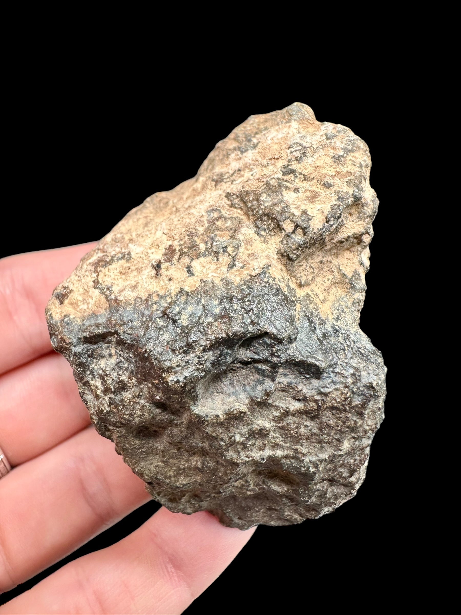 Meteorite Bechar 008, Howardite 130,1g – Algeria