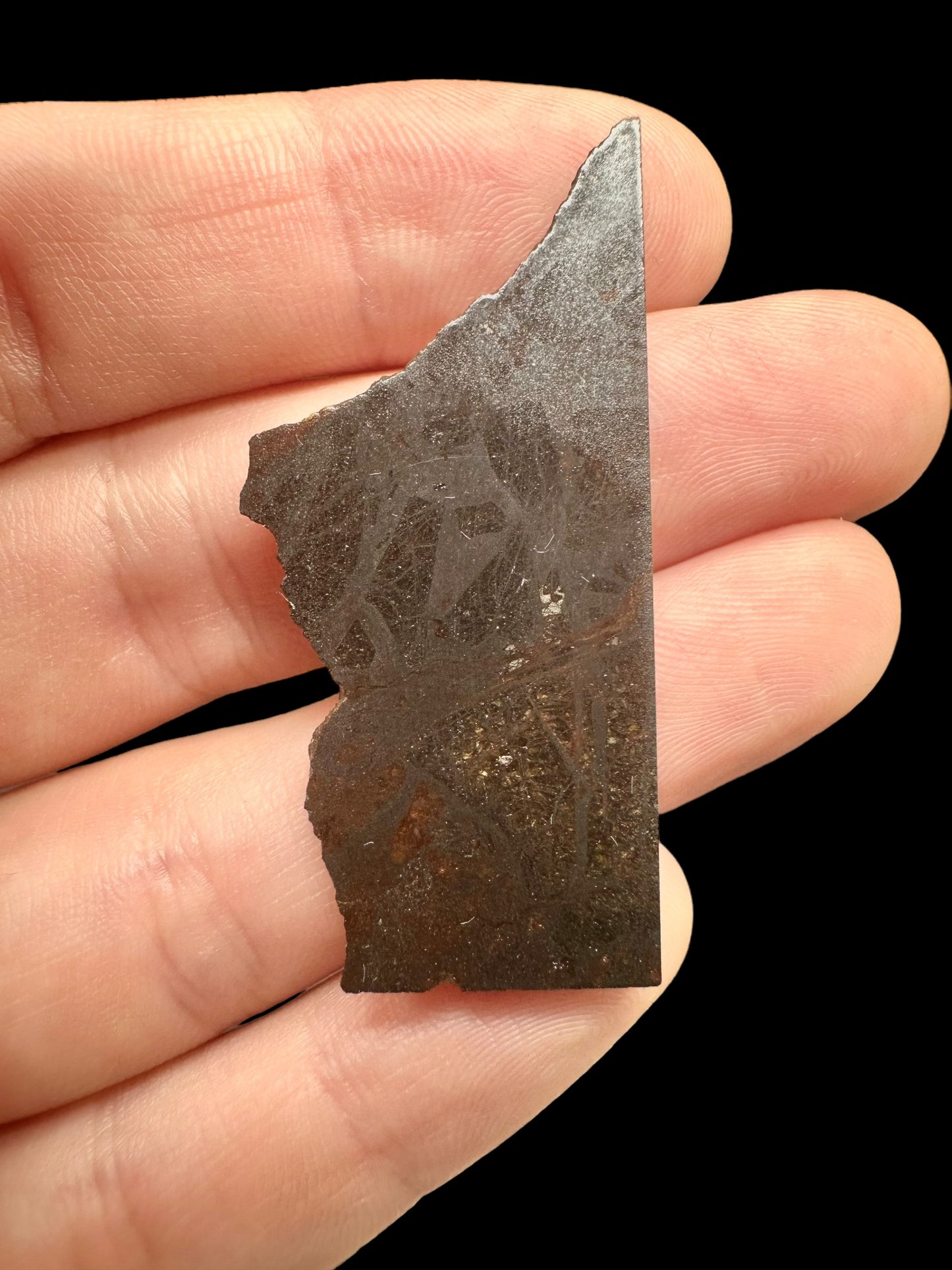 Meteorite Pallasite Huckitta – Australia – MEHU05