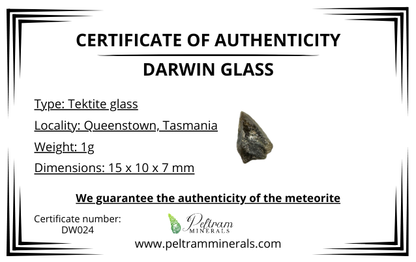 Darwin glass in box – Queenstown, Tasmania – DW024