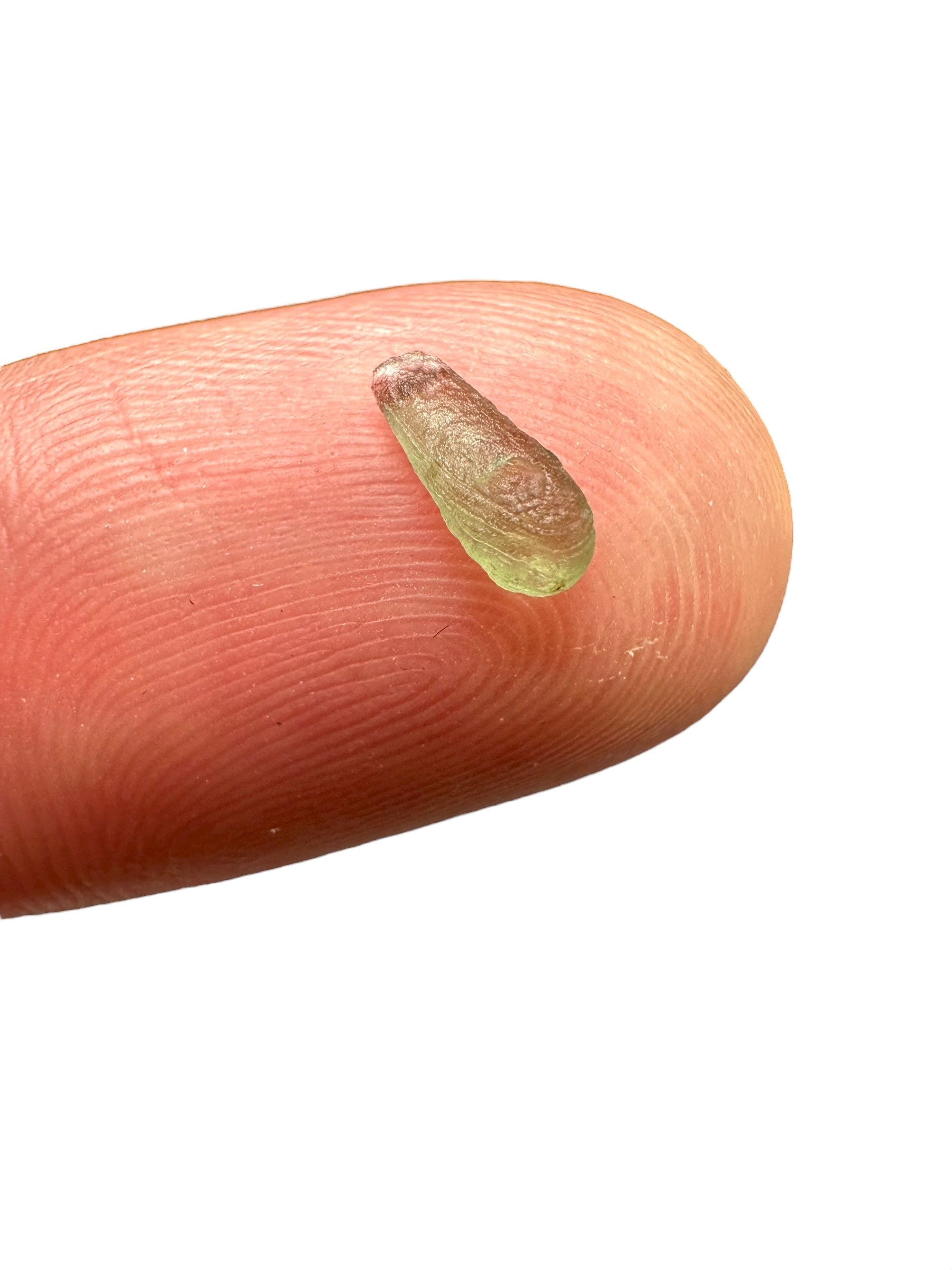 Moldavite – Jakule – 0,05g