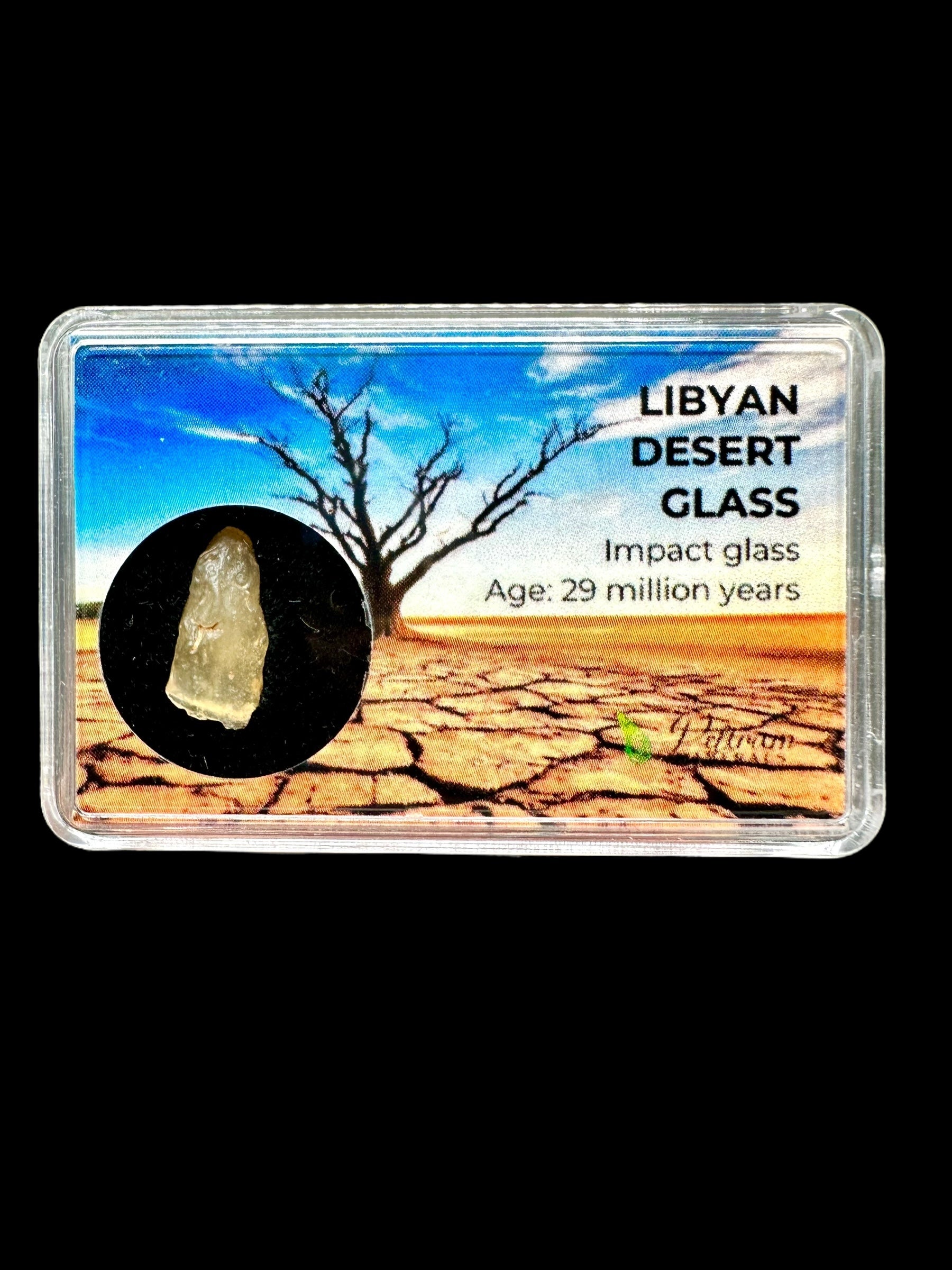 Libyan desert glass in box
