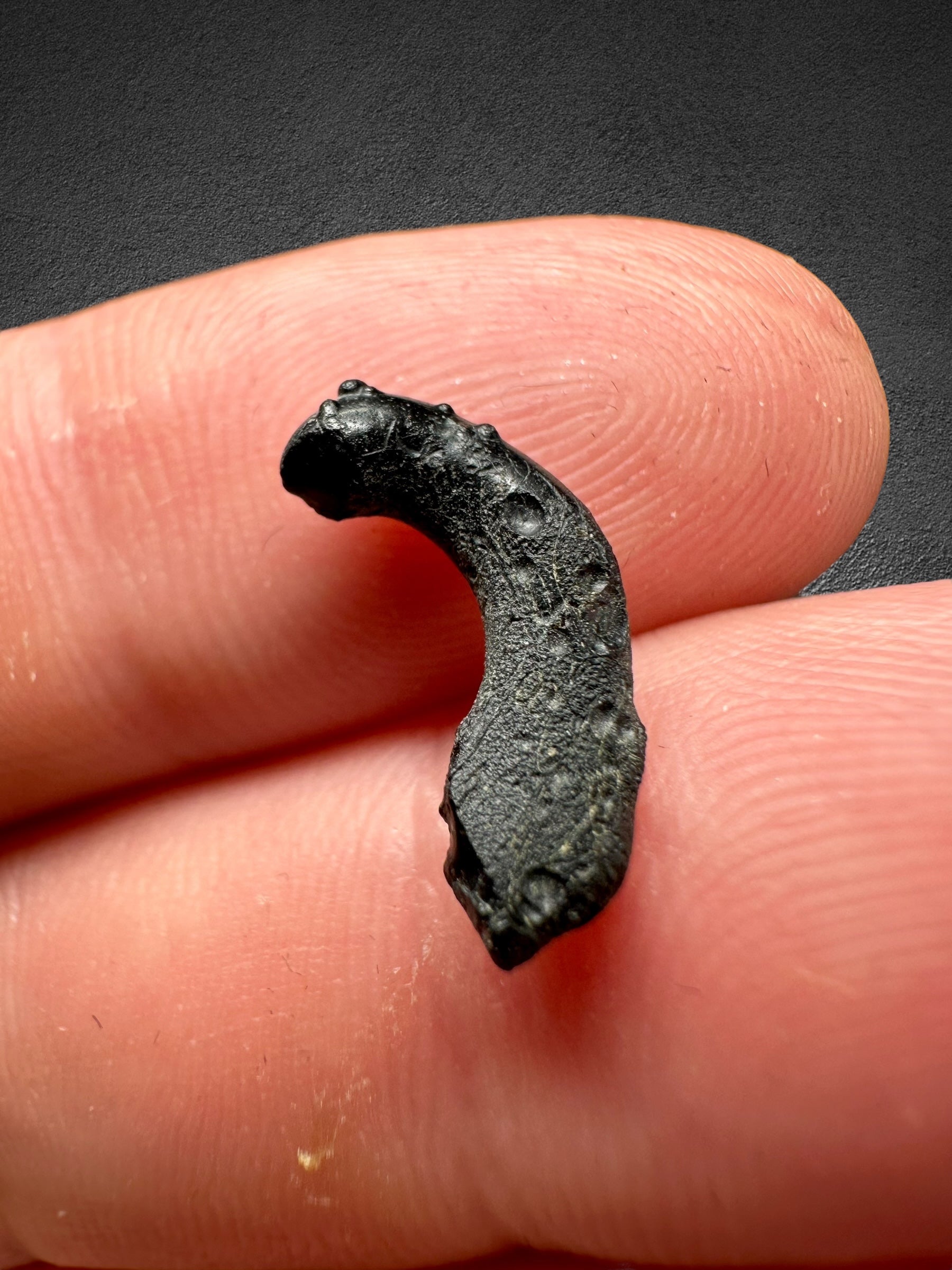 Irgizite in box 0,31g – Zhamanshin, Kazakhstan - IR002