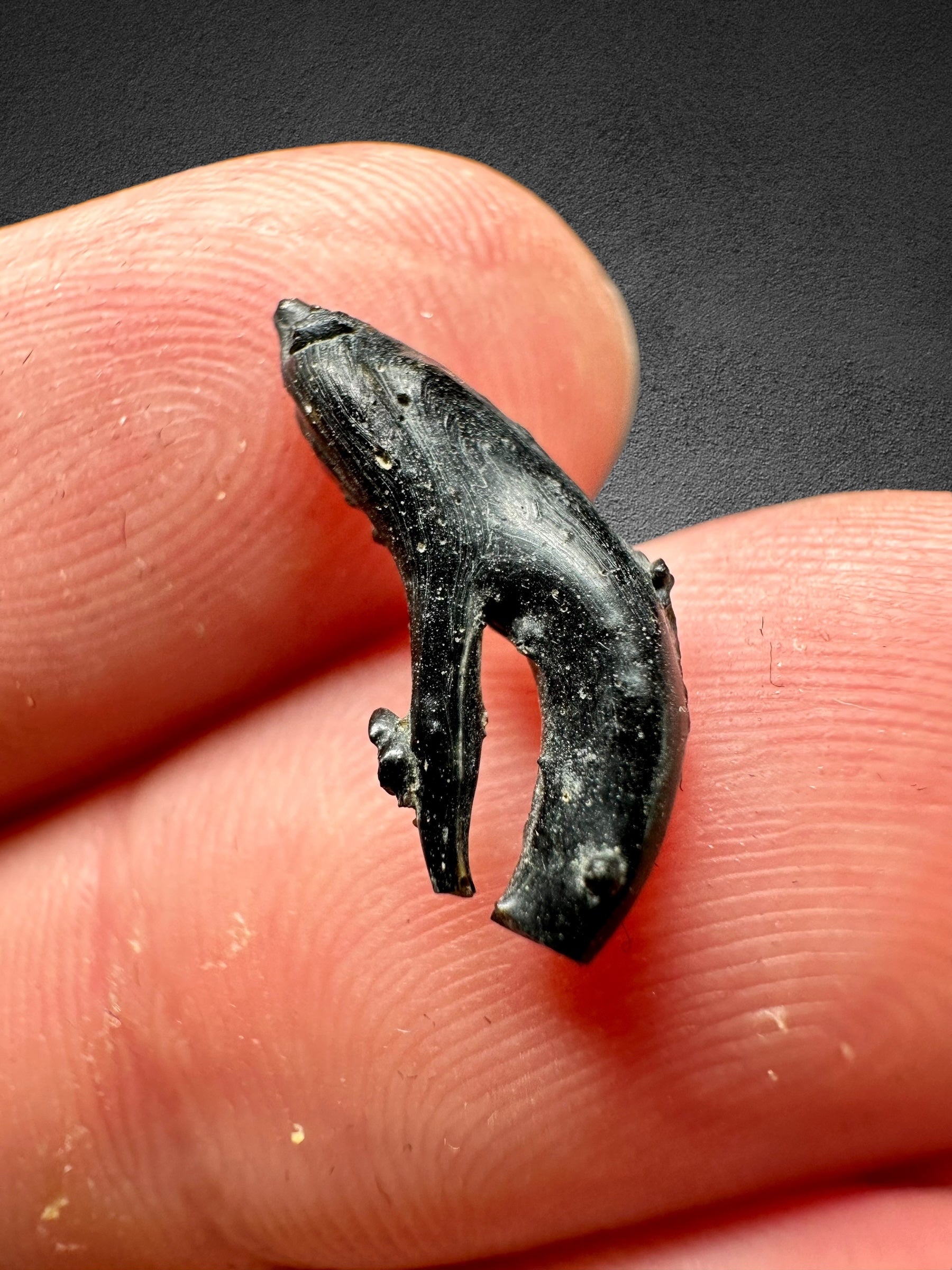 Irgizite in box 0,28g – Zhamanshin, Kazakhstan - IR004