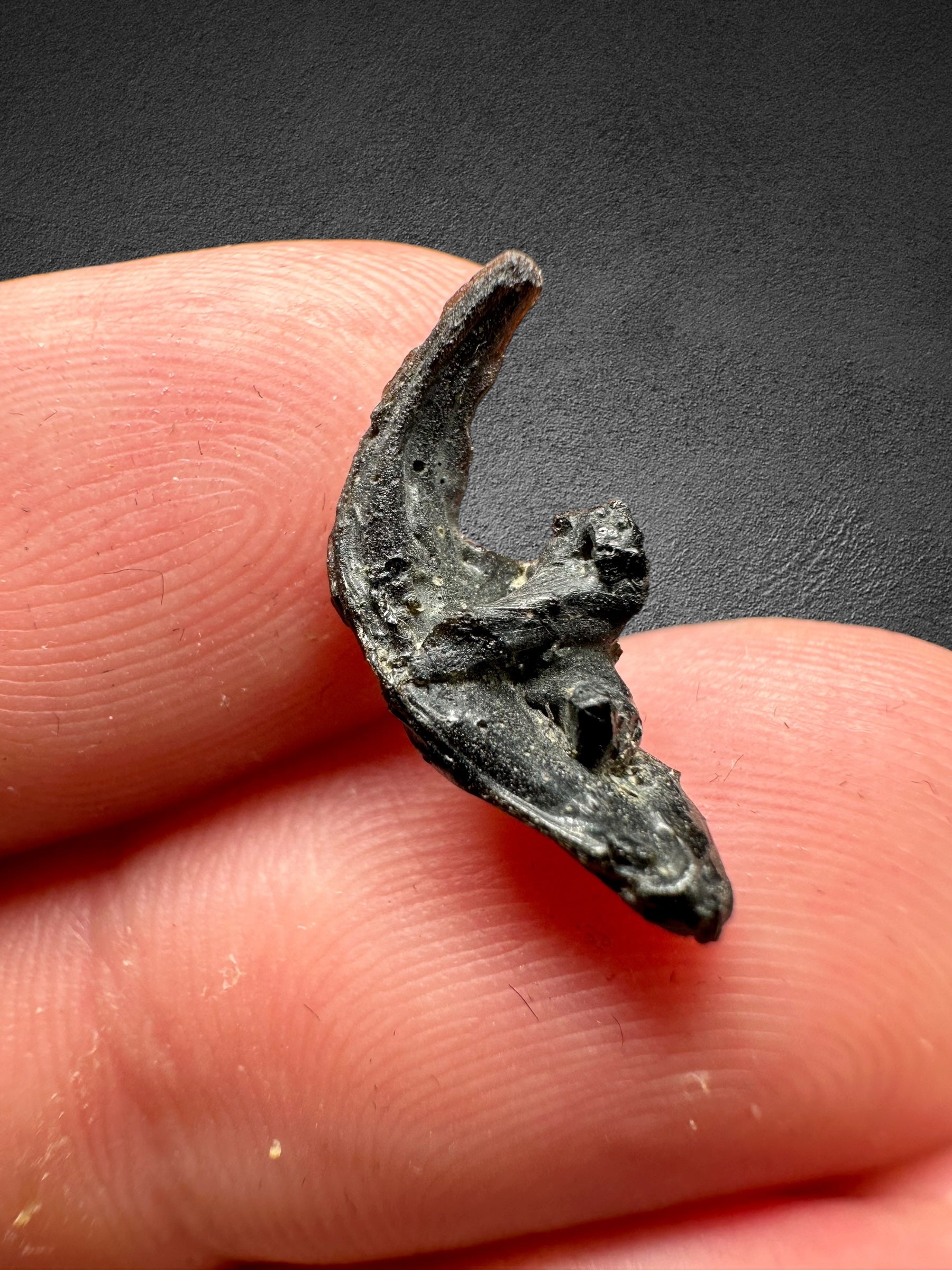 Irgizite in box 0,29g – Zhamanshin, Kazakhstan - IR005
