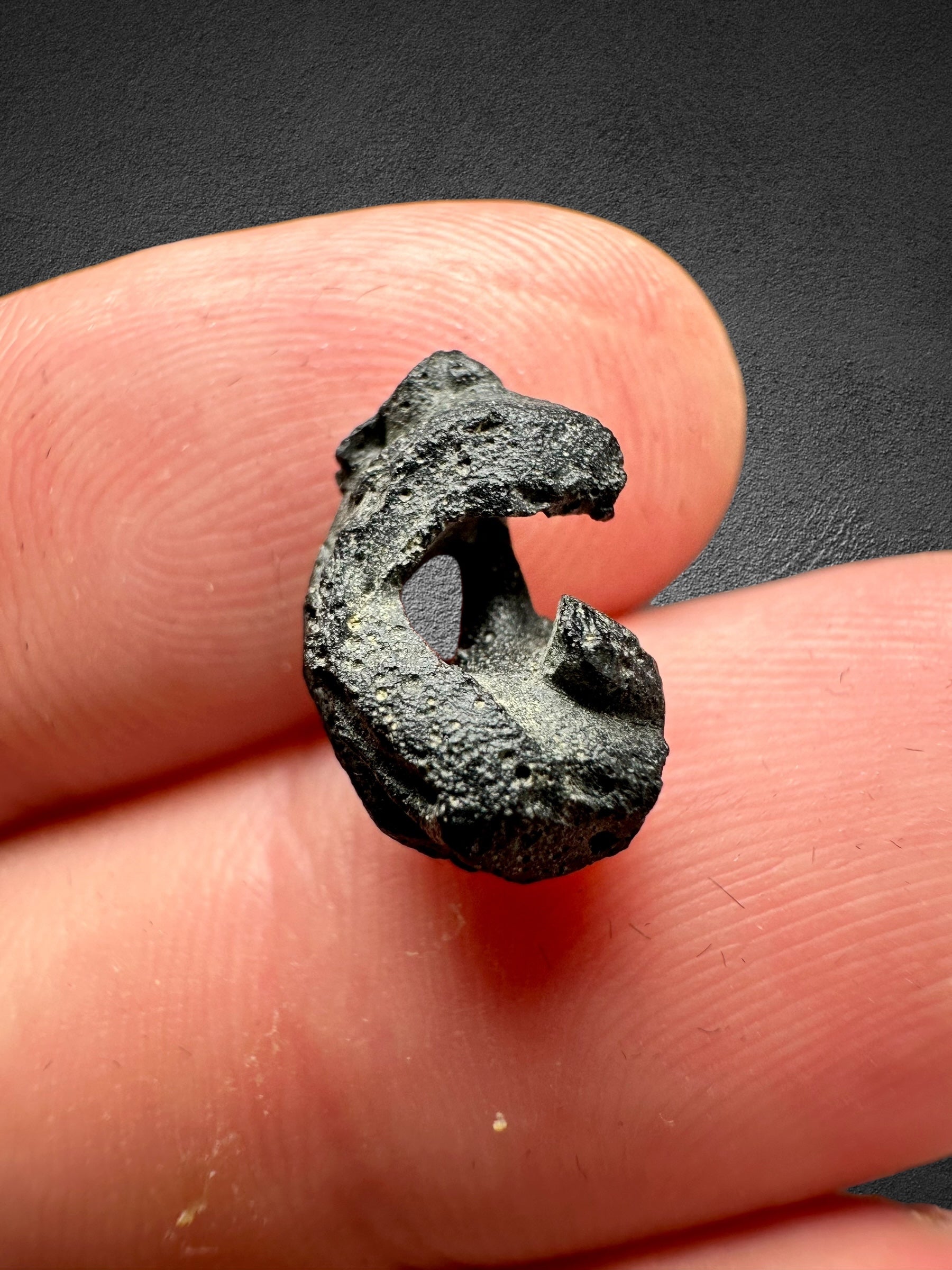 Irgizite in box 0,49g – Zhamanshin, Kazakhstan - IR007