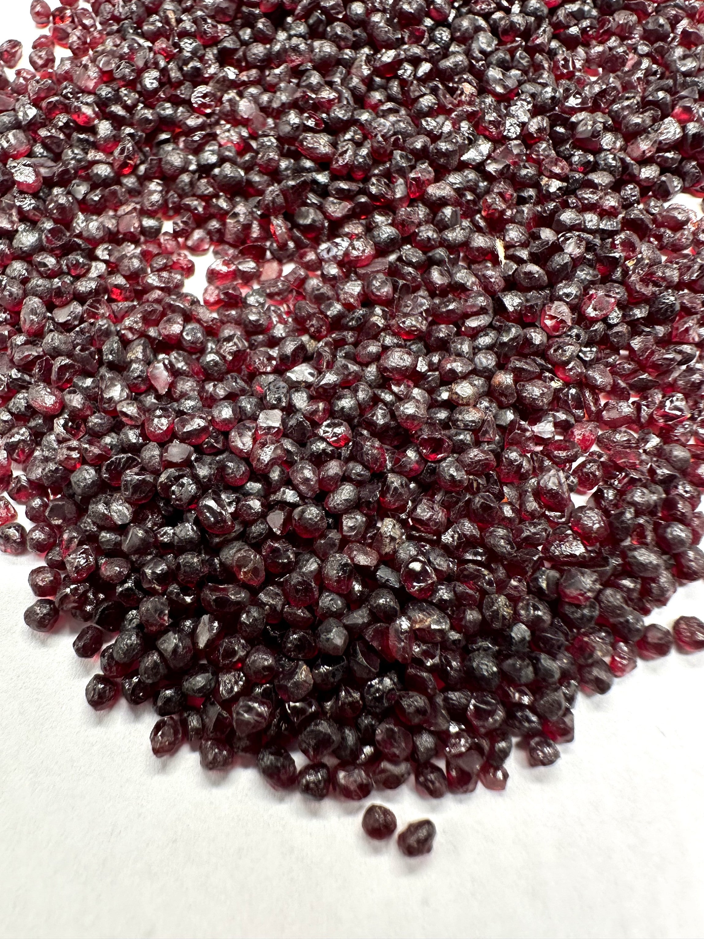 Czech Garnet (pyrope) 50g – Ceske Stredohori, CZ - CG050
