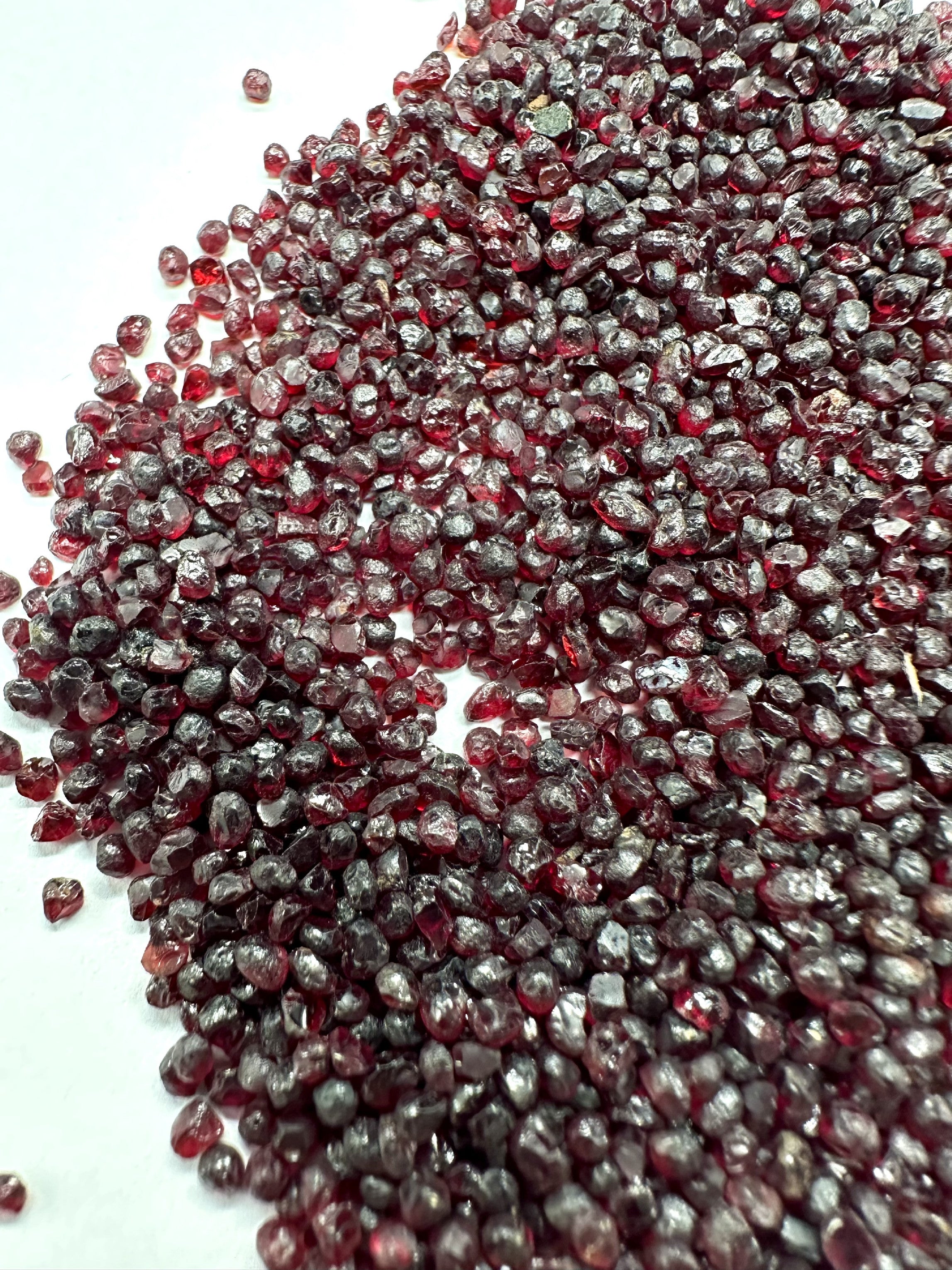 Czech Garnet (pyrope) 50g – Ceske Stredohori, CZ - CG050