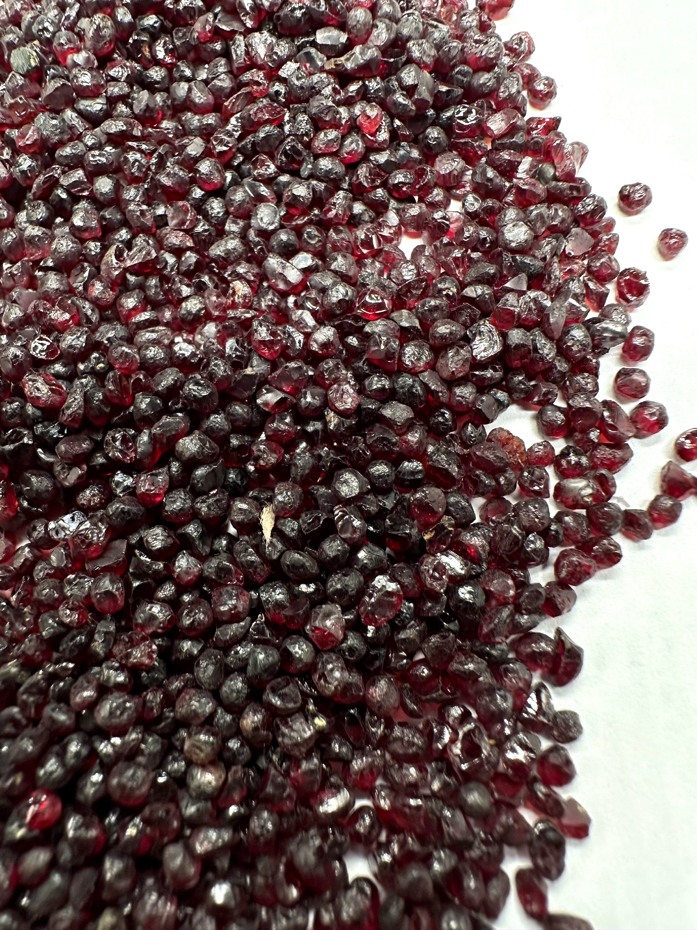 Czech Garnet (pyrope) 50g – Ceske Stredohori, CZ - CG050