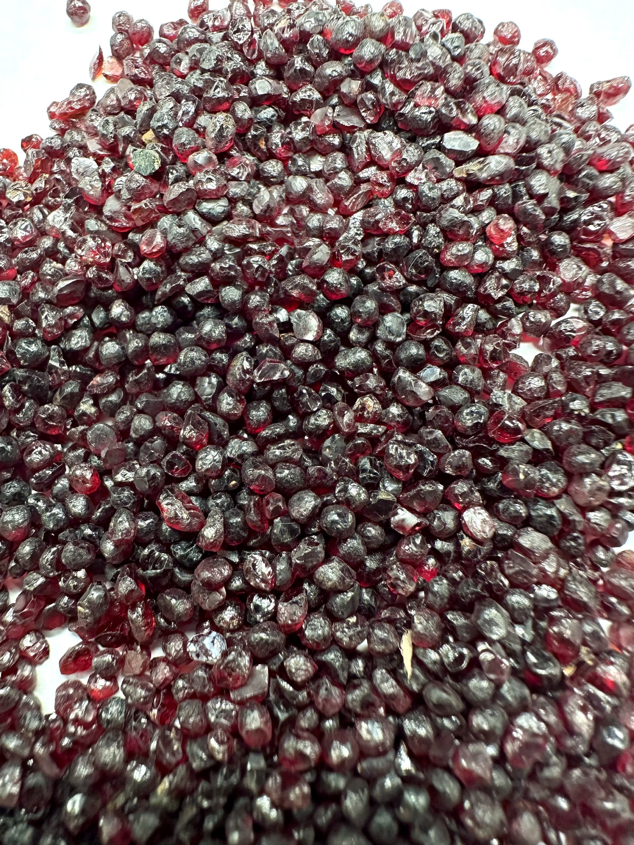 Czech Garnet (pyrope) 50g – Ceske Stredohori, CZ - CG050