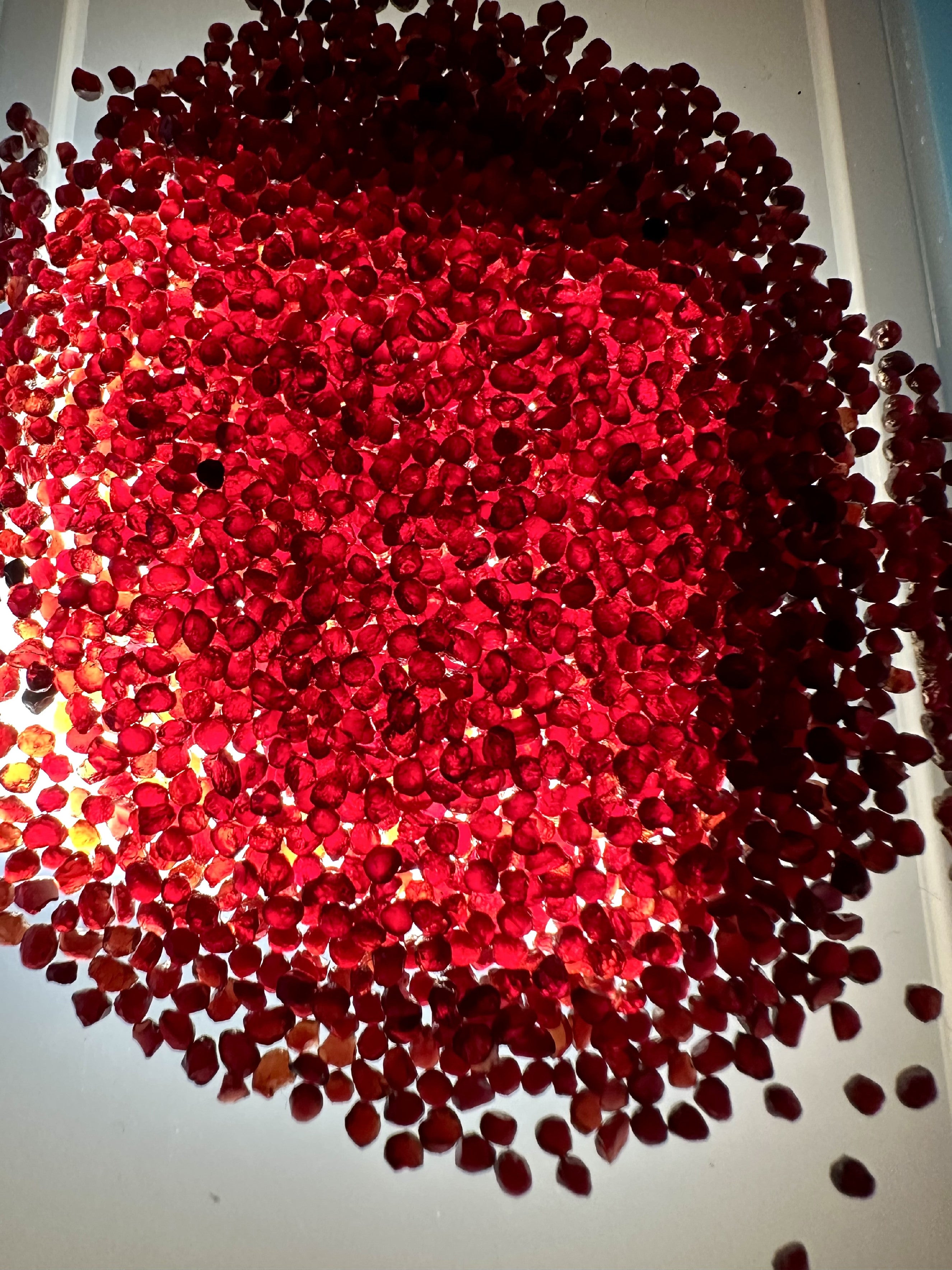 Czech Garnet (pyrope) 50g – Ceske Stredohori, CZ - CG050