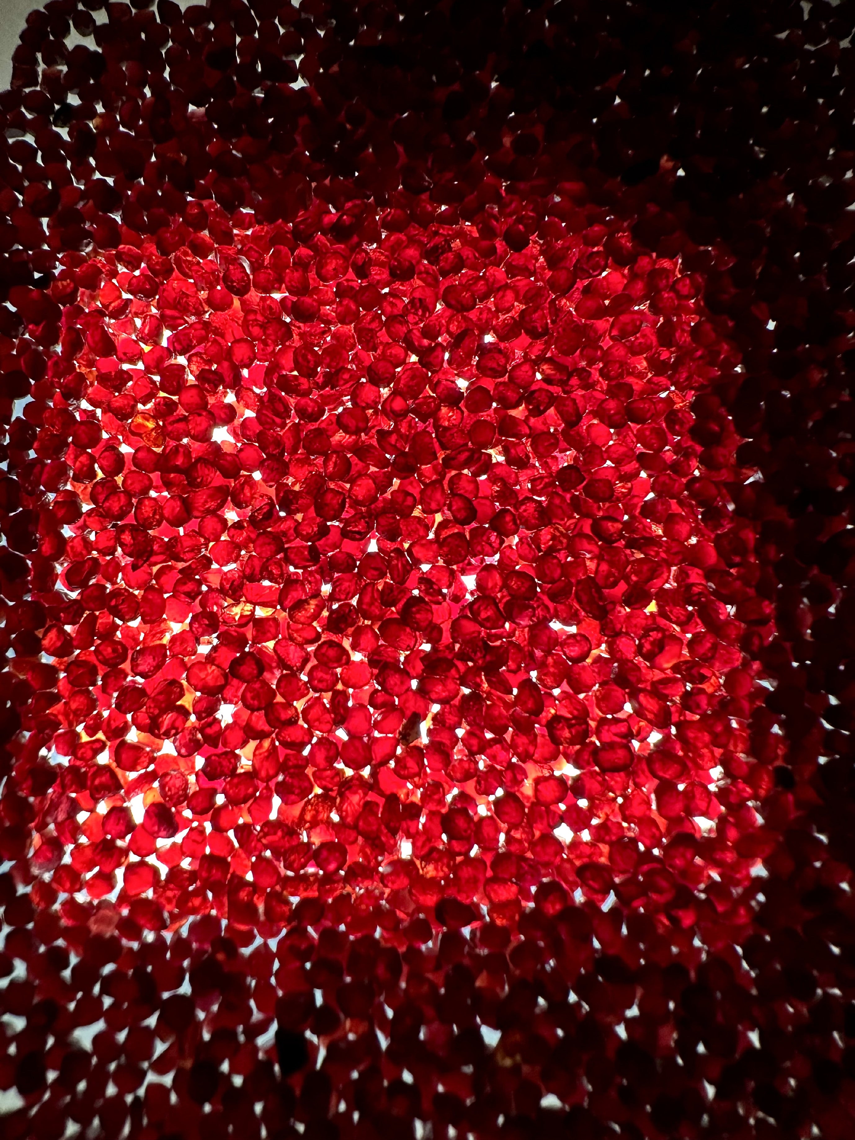 Czech Garnet (pyrope) 100g – Ceske Stredohori, CZ - CG063