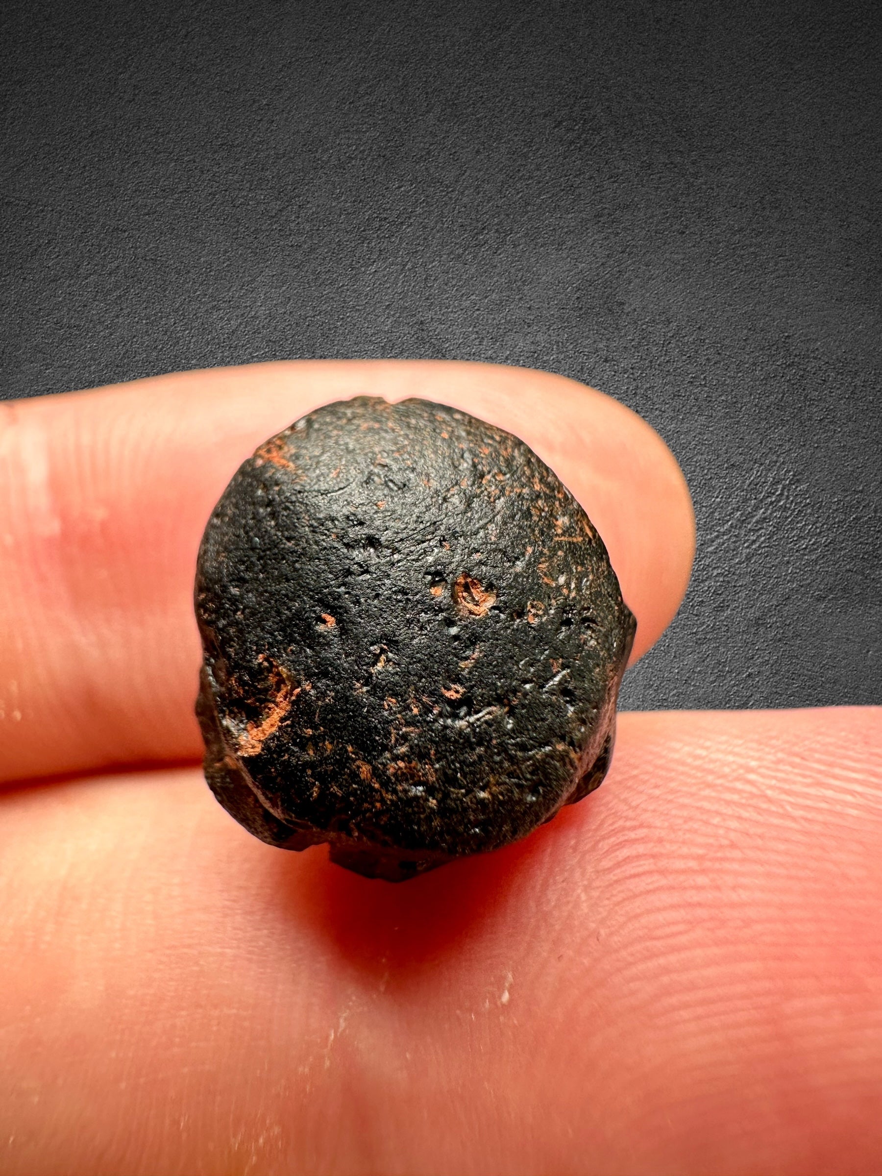Australite "button" in box 2,71g – Kalgoorlie, Western Australia - AU008