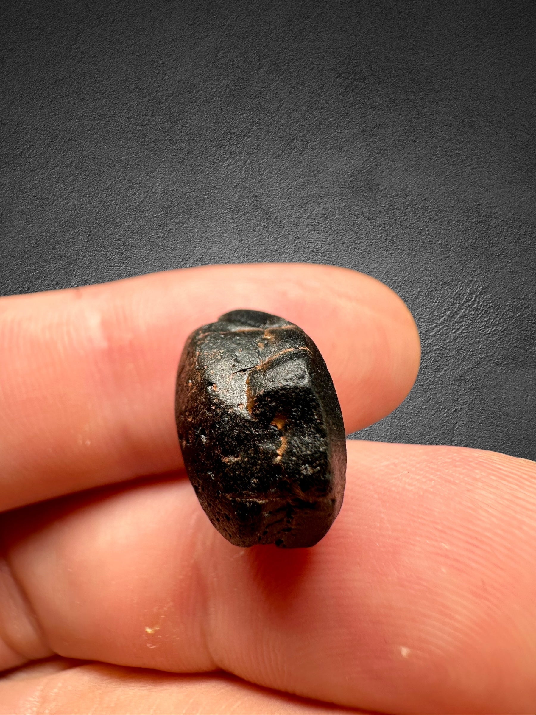 Australite "button" in box 2,71g – Kalgoorlie, Western Australia - AU008