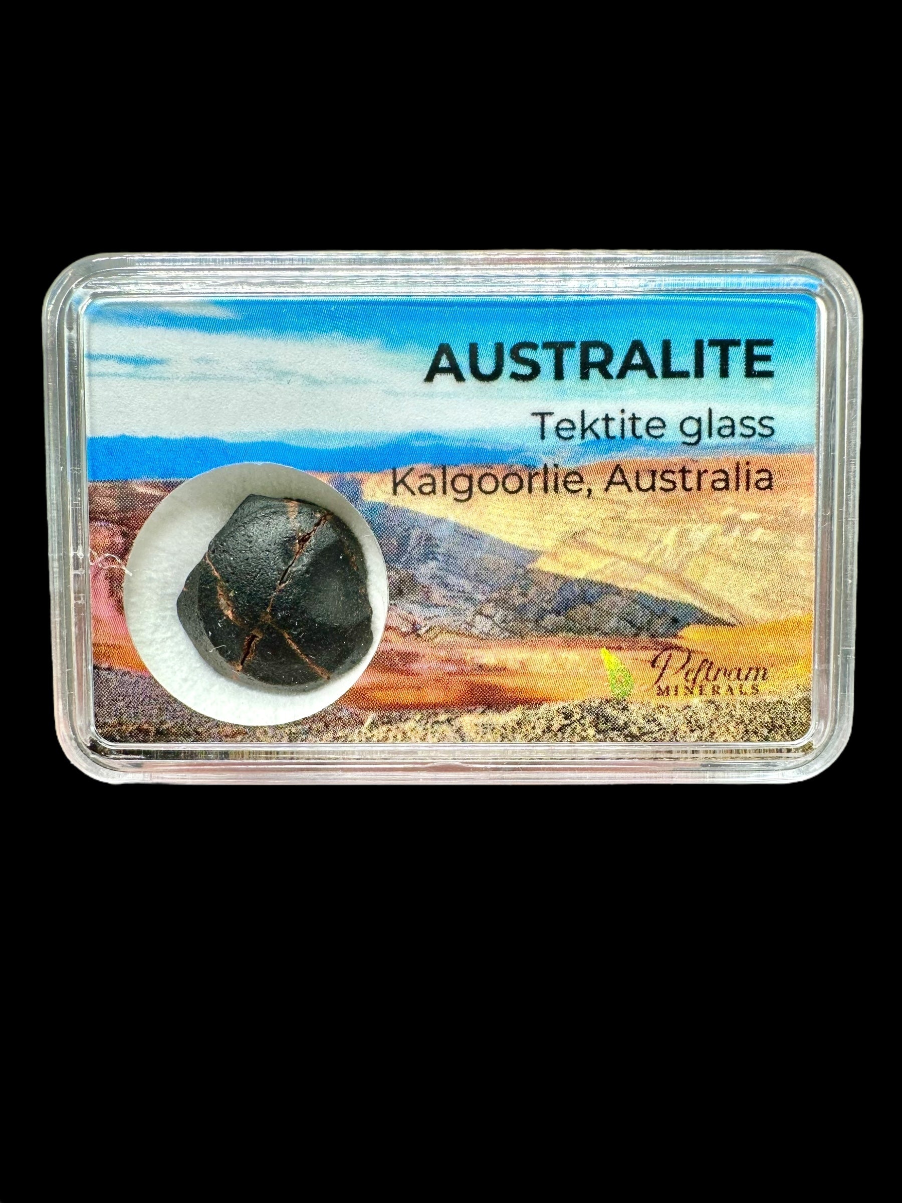 Australite "button" in box 2,71g – Kalgoorlie, Western Australia