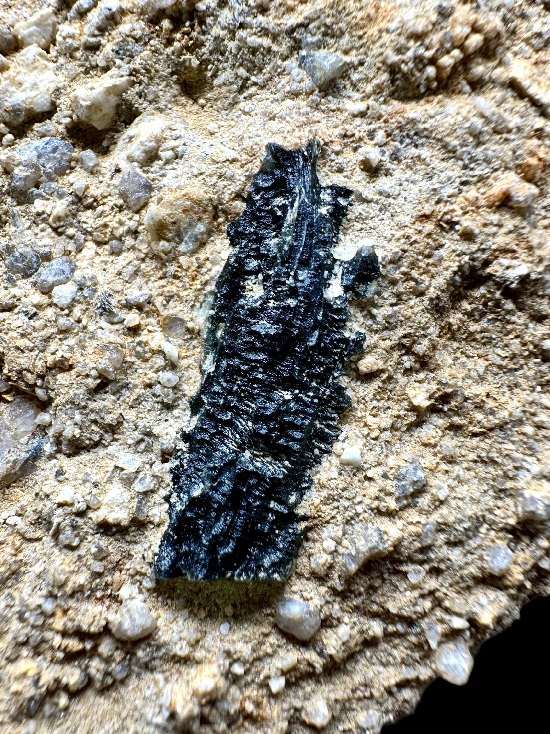 Moldavite in the sediment – Besednice – Sever - INS011