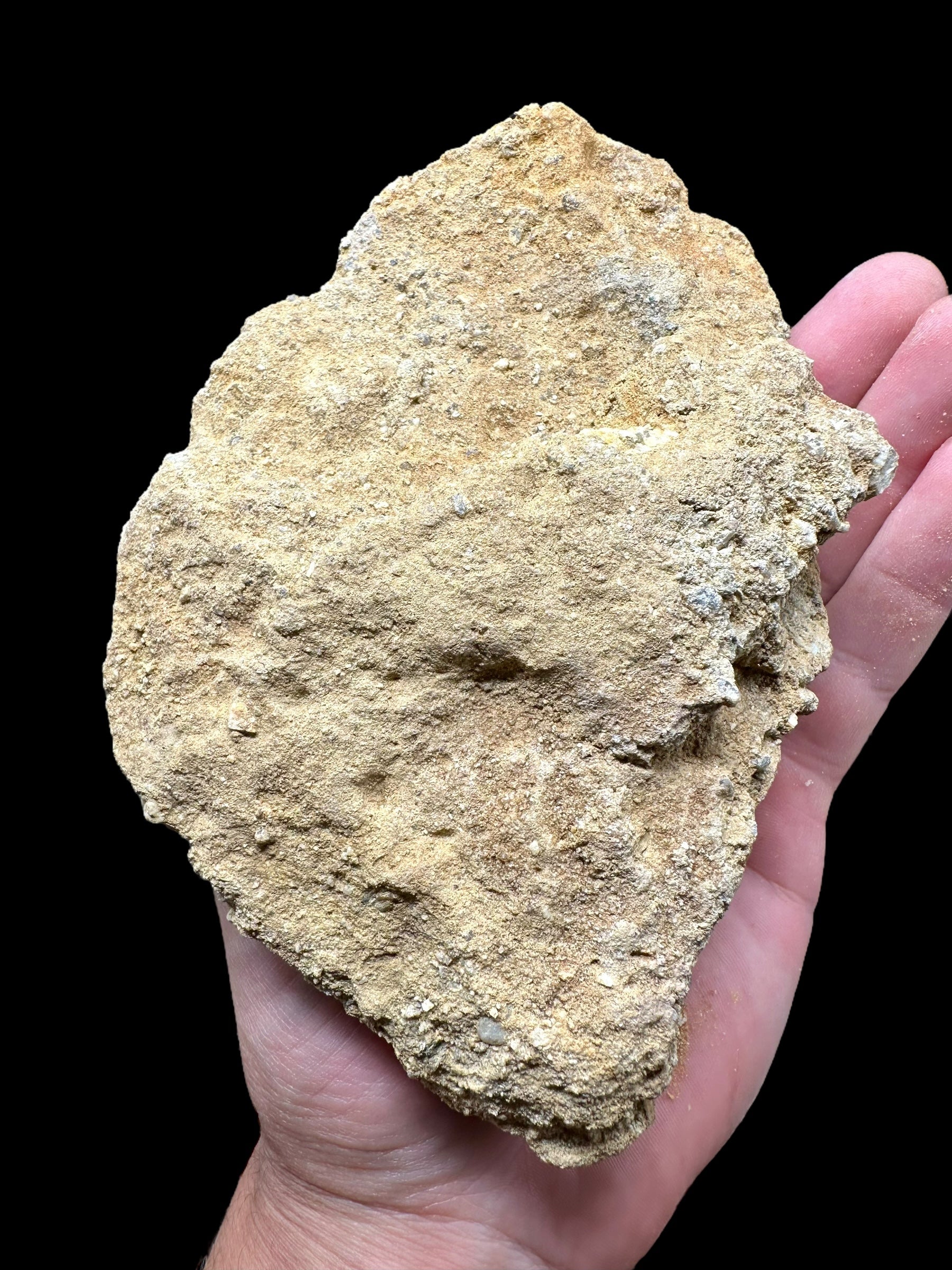 Moldavite in the sediment – Besednice – Sever - INS011