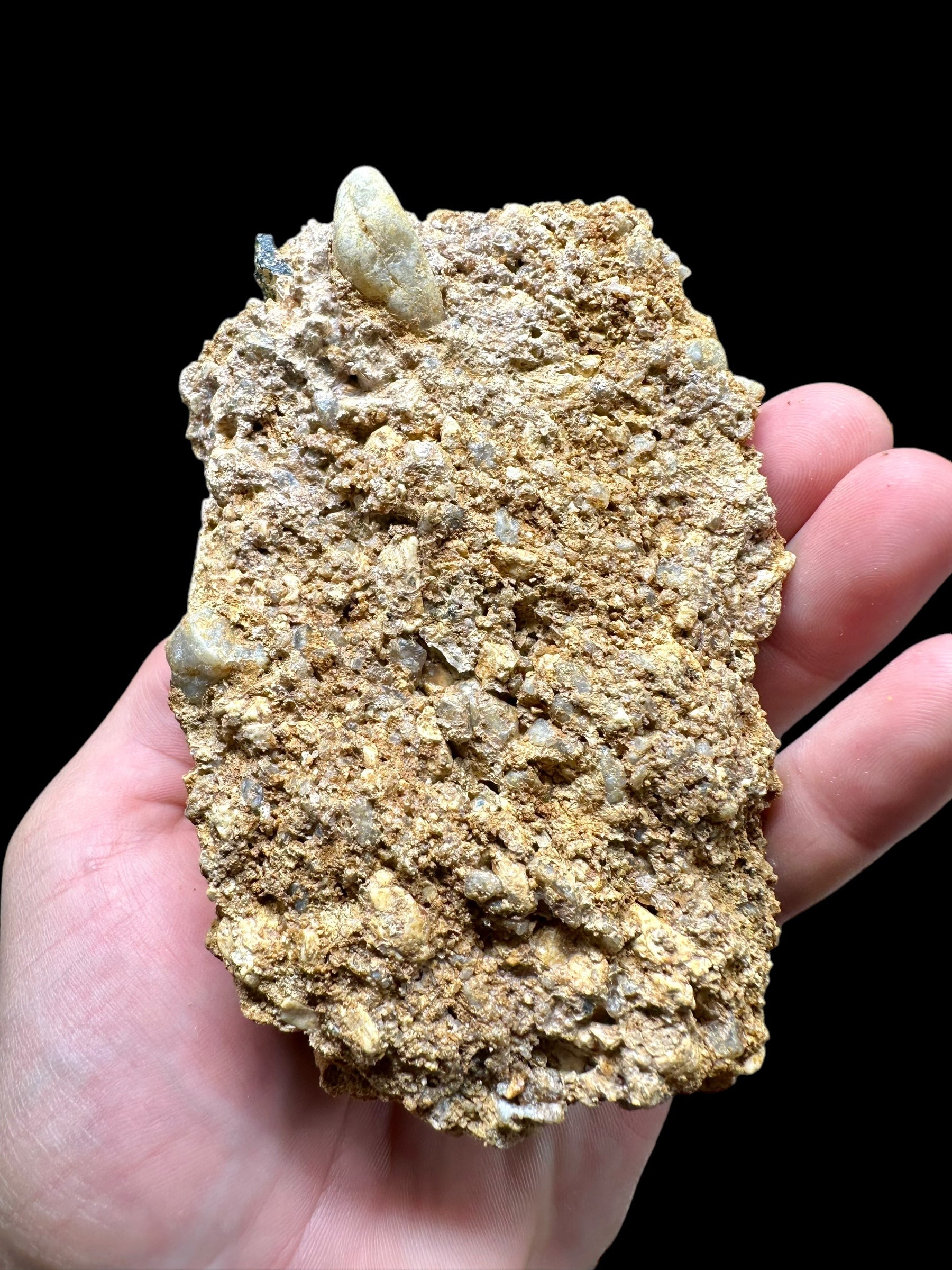 Moldavite in the sediment – Maly Chlum - INS015