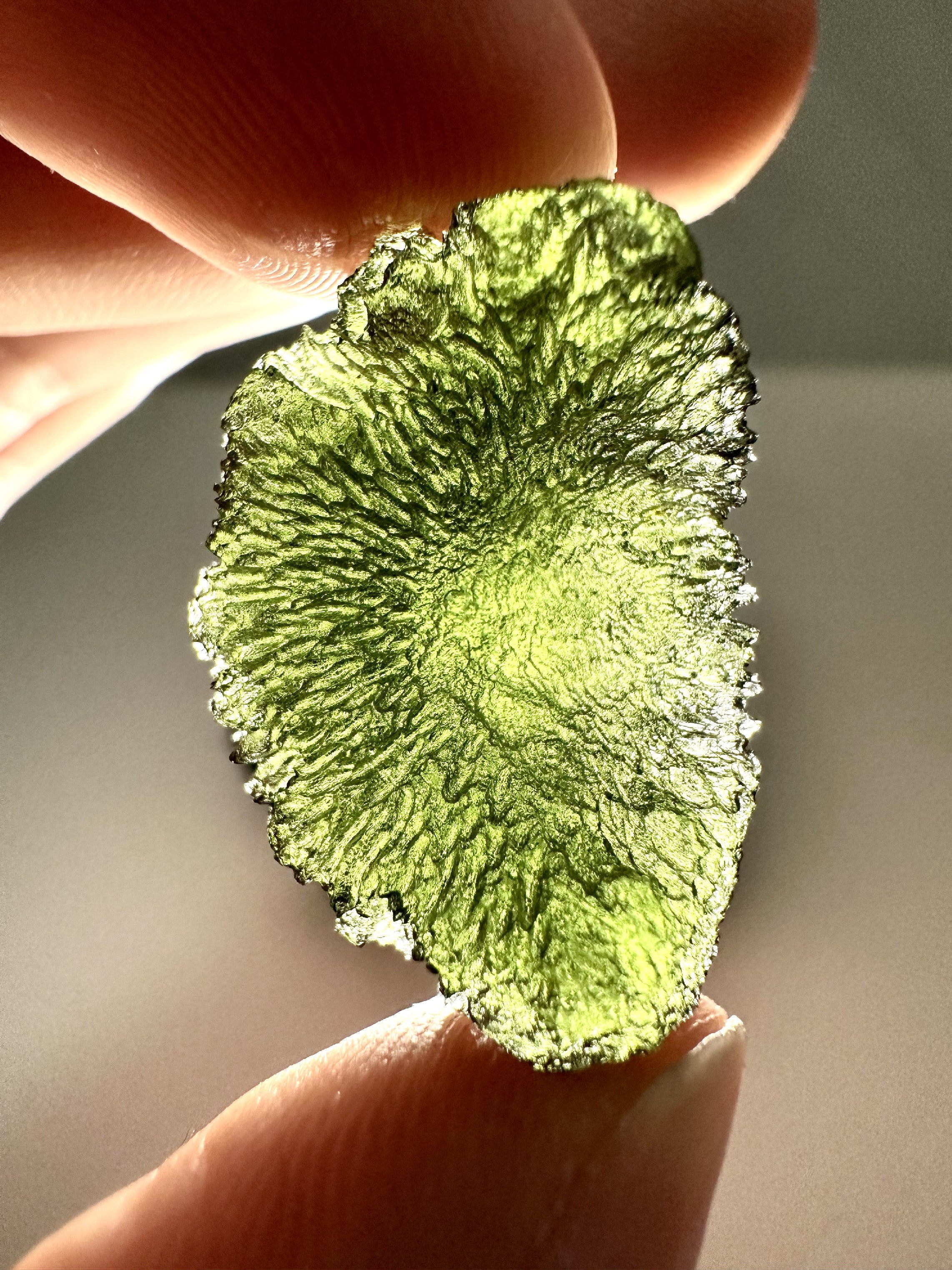 Moldavite – Nechov – 8,2g - V1639