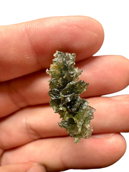 Moldavite – Besednice Jezkovna – 4,3g – V625