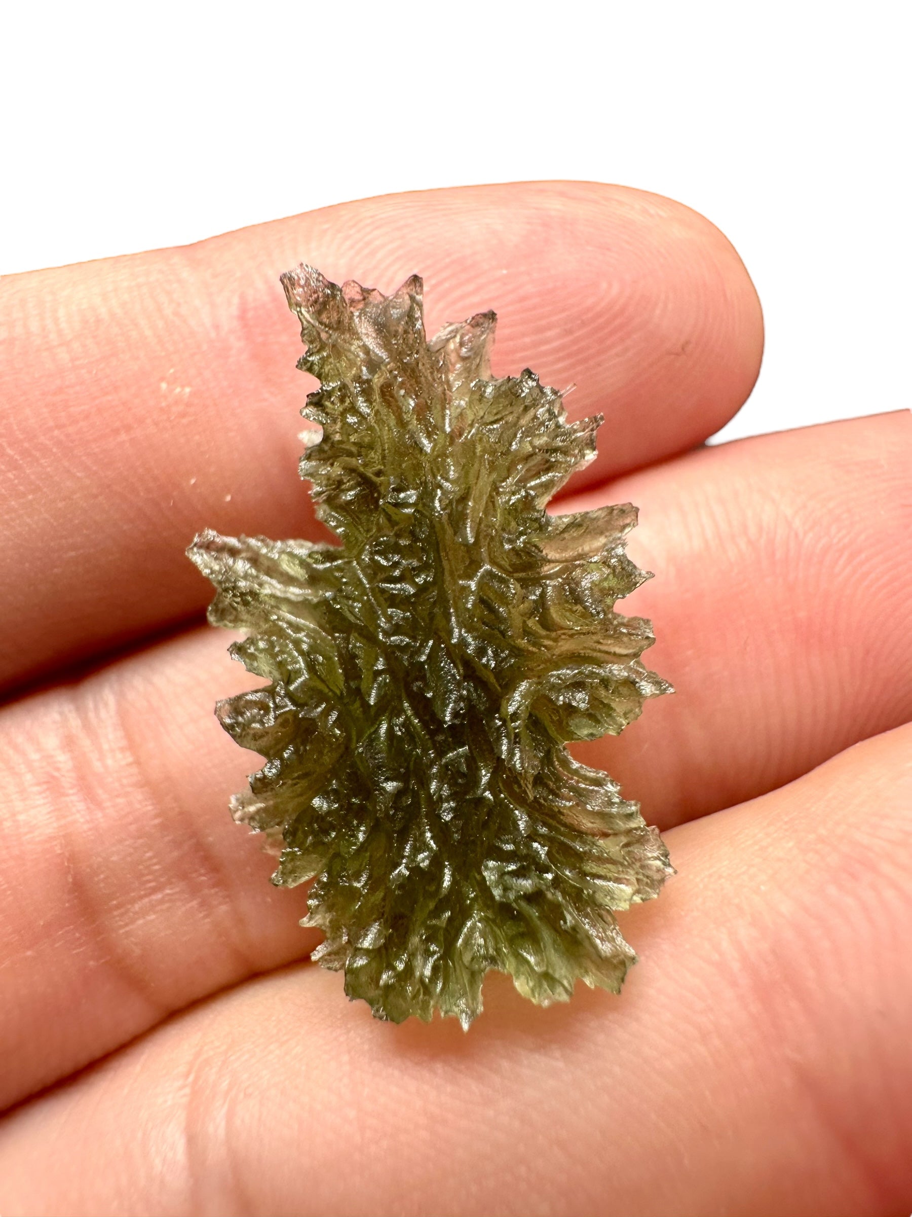 Moldavite – Besednice Jezkovna – 2,4g - V1799