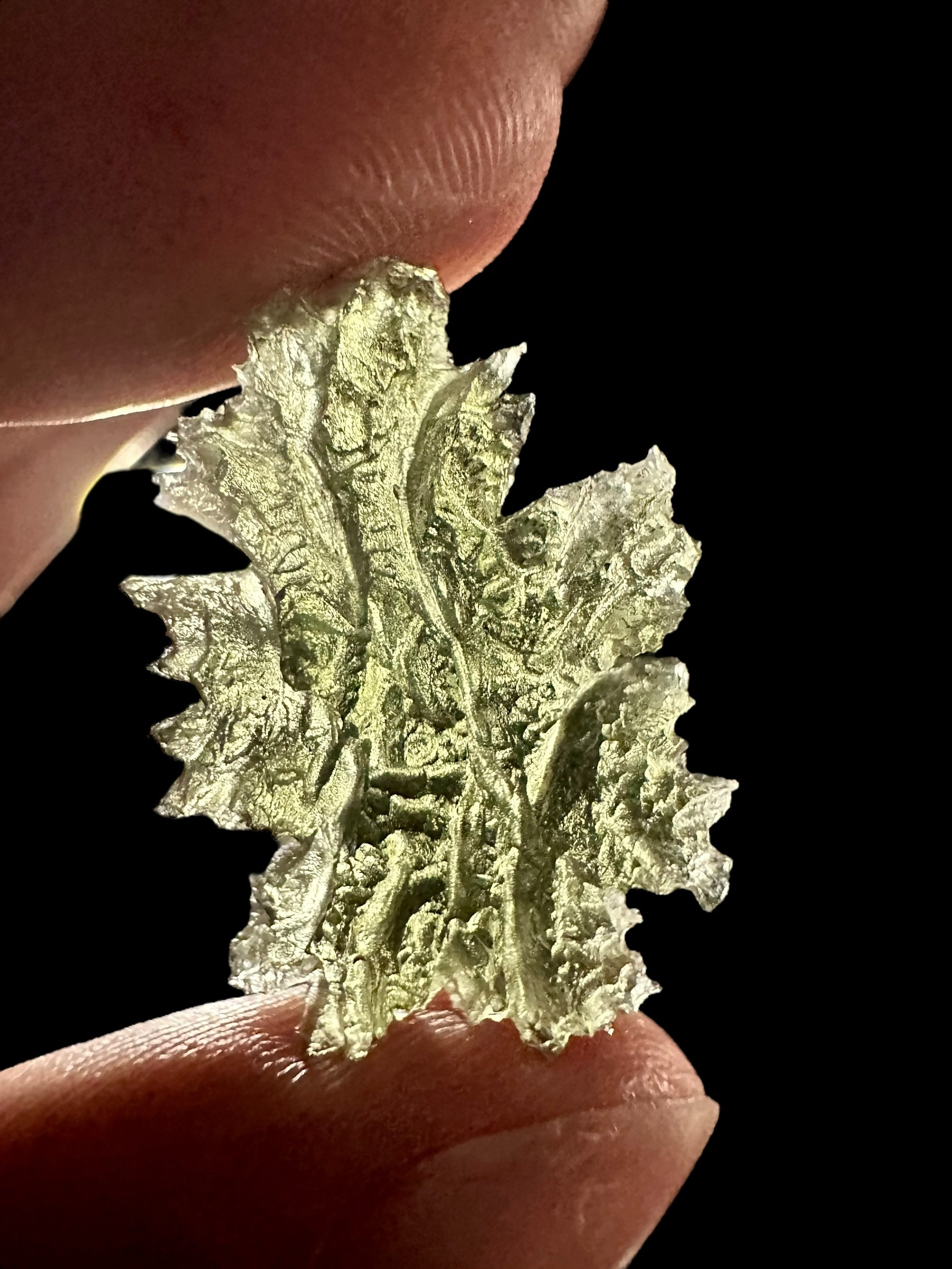 Moldavite – Besednice Jezkovna – 2,4g - V1799
