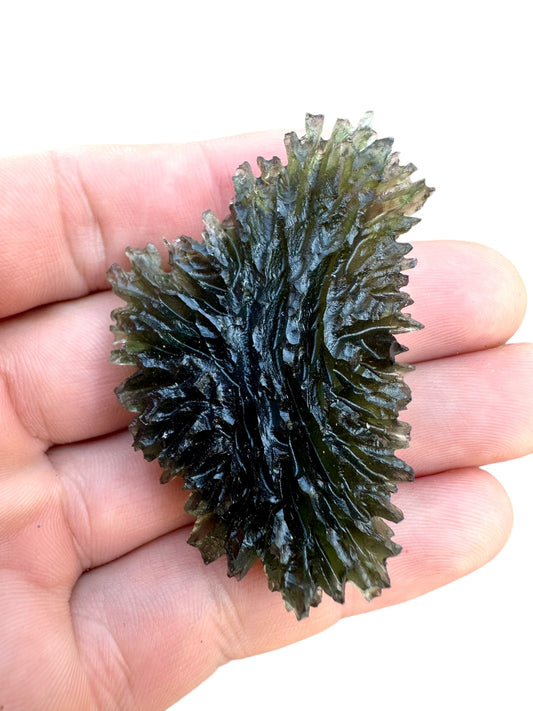 Moldavite – Besednice Jezkovna – 24,6g – VJ005