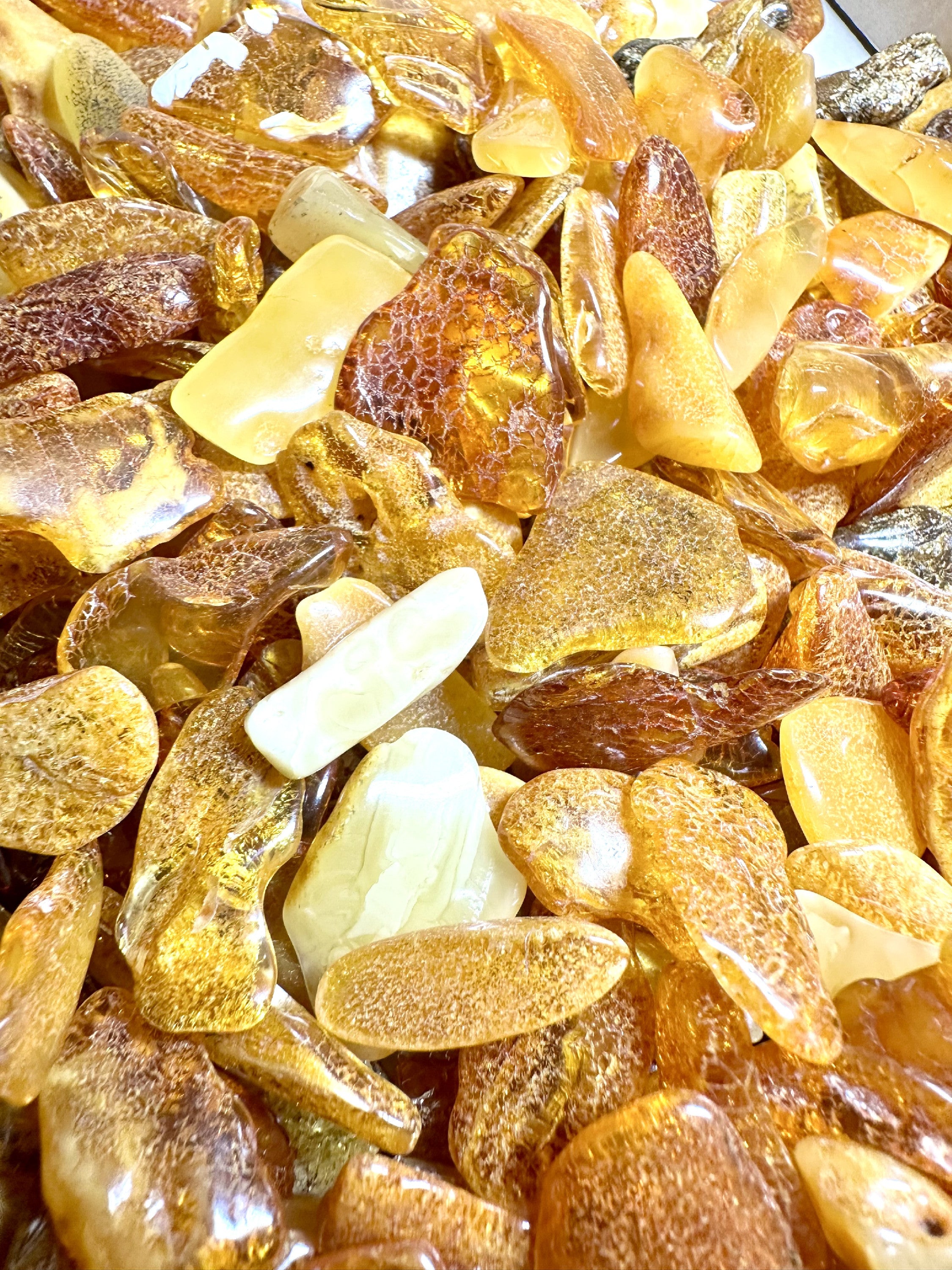 Amber – Lithuania – 900g - XJ003