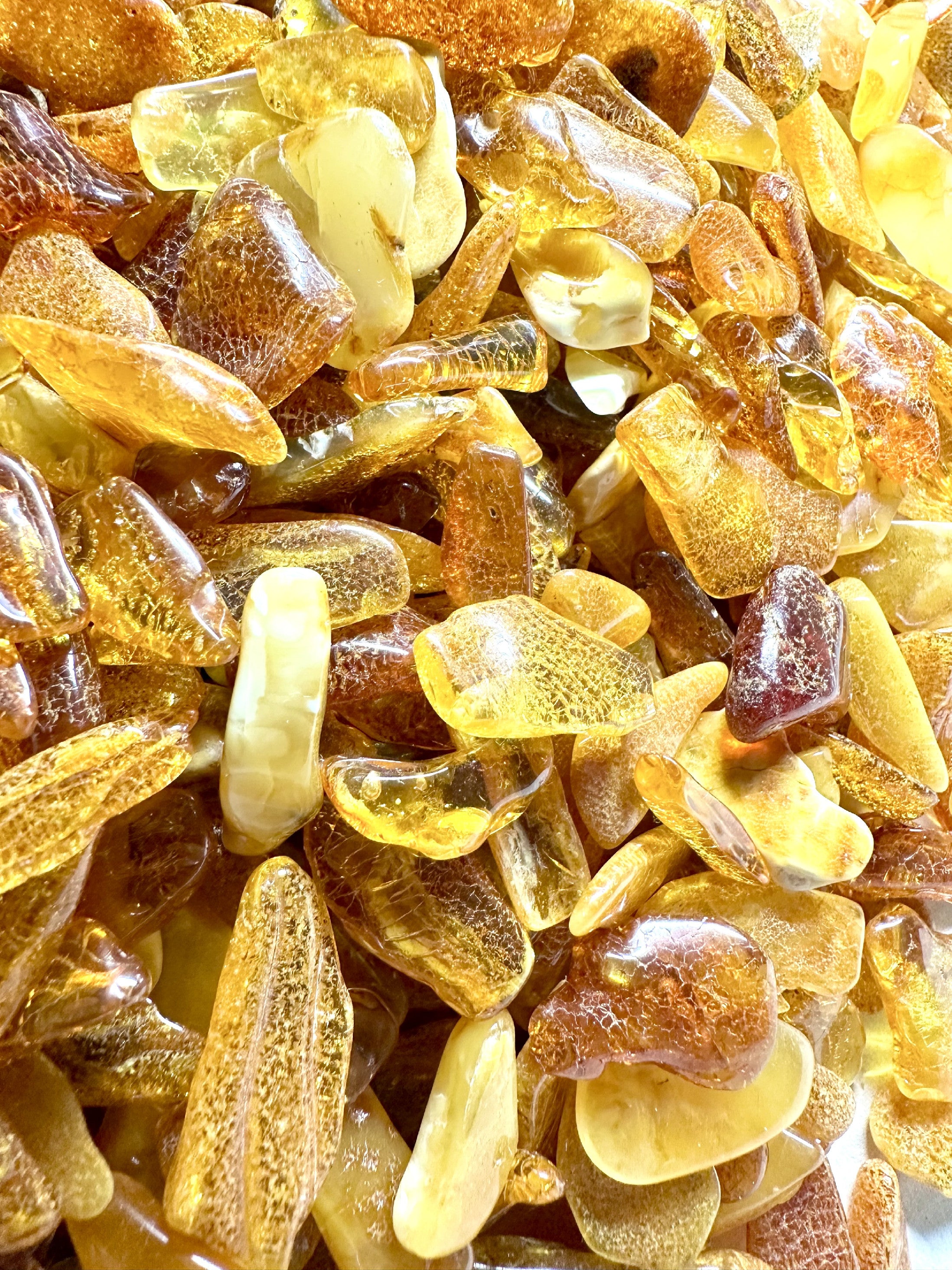 Amber – Lithuania – 900g - XJ003