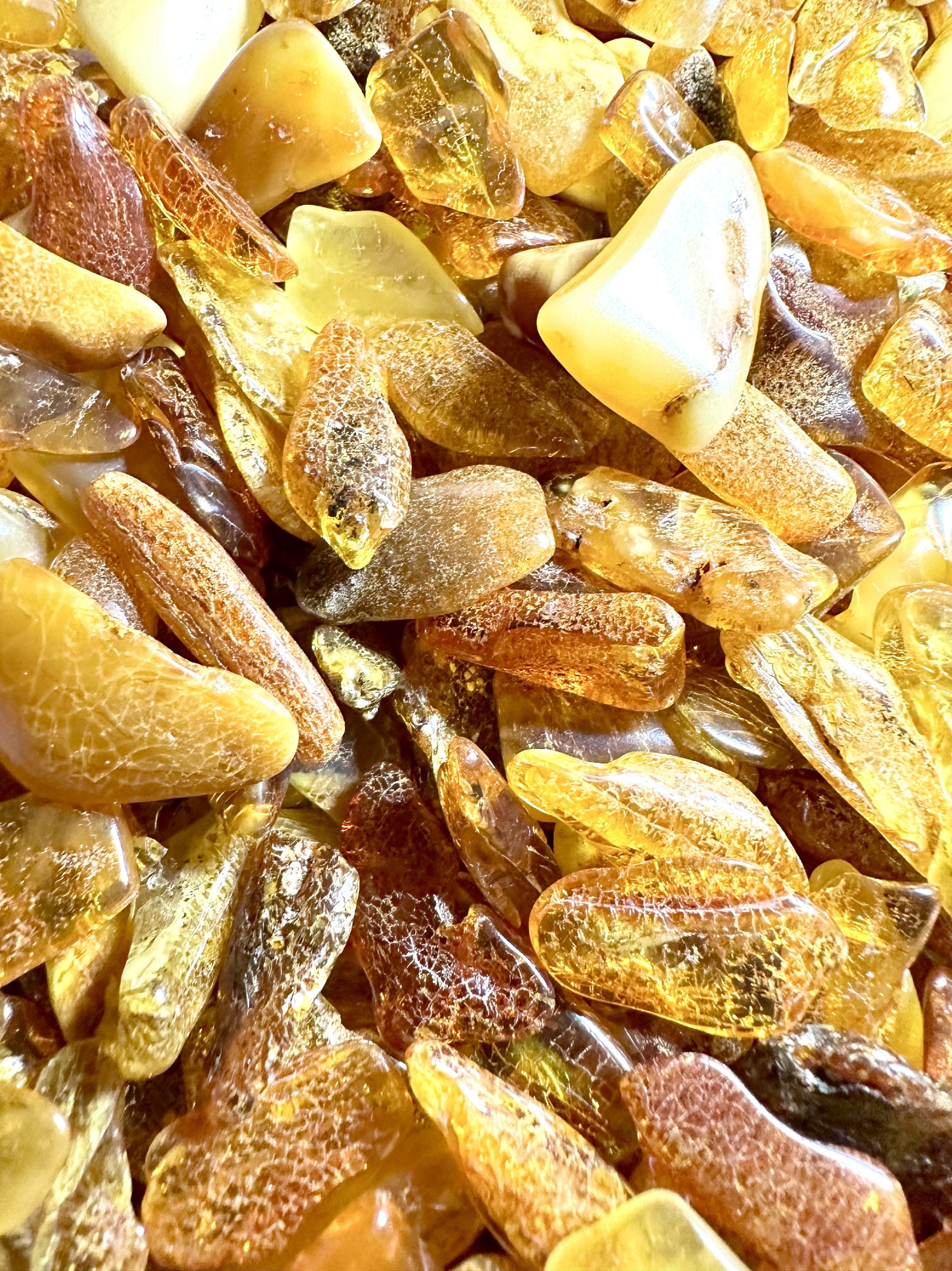 Amber – Lithuania – 900g